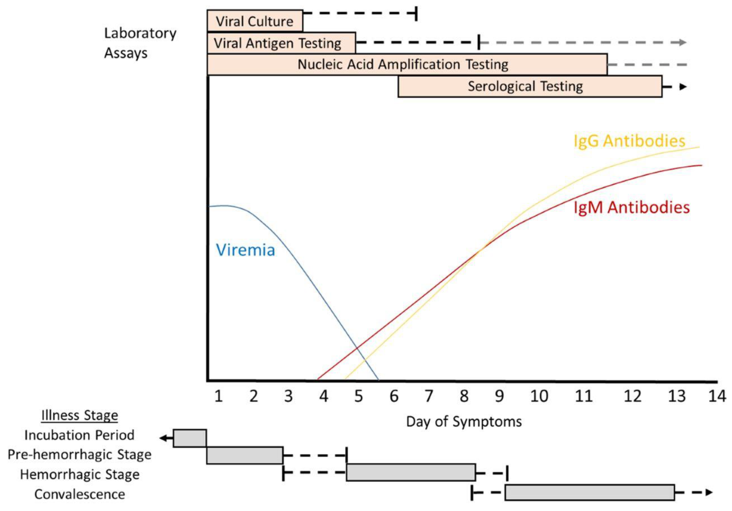 Pathogens 13 00770 g007