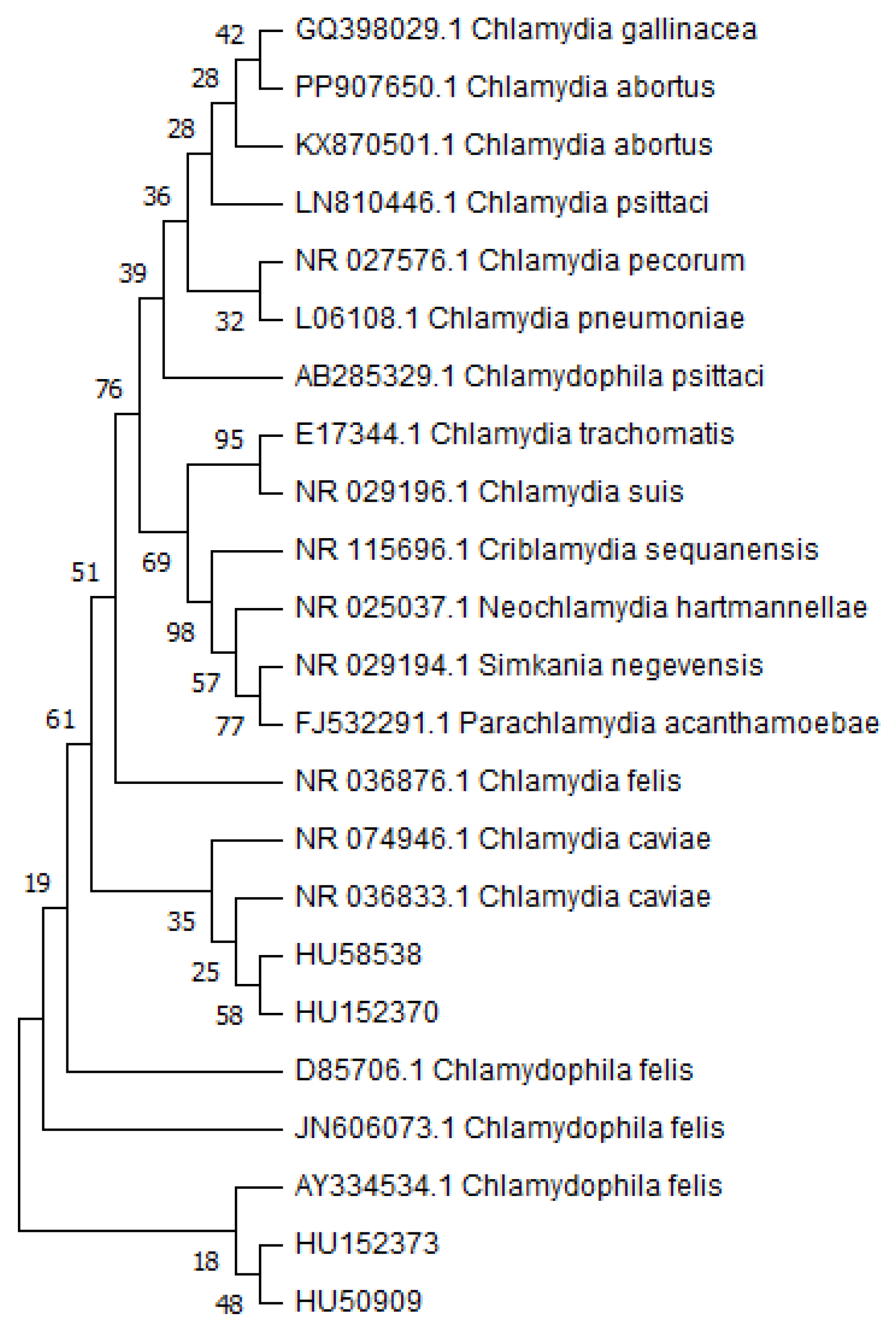 Pathogens 13 00771 g001