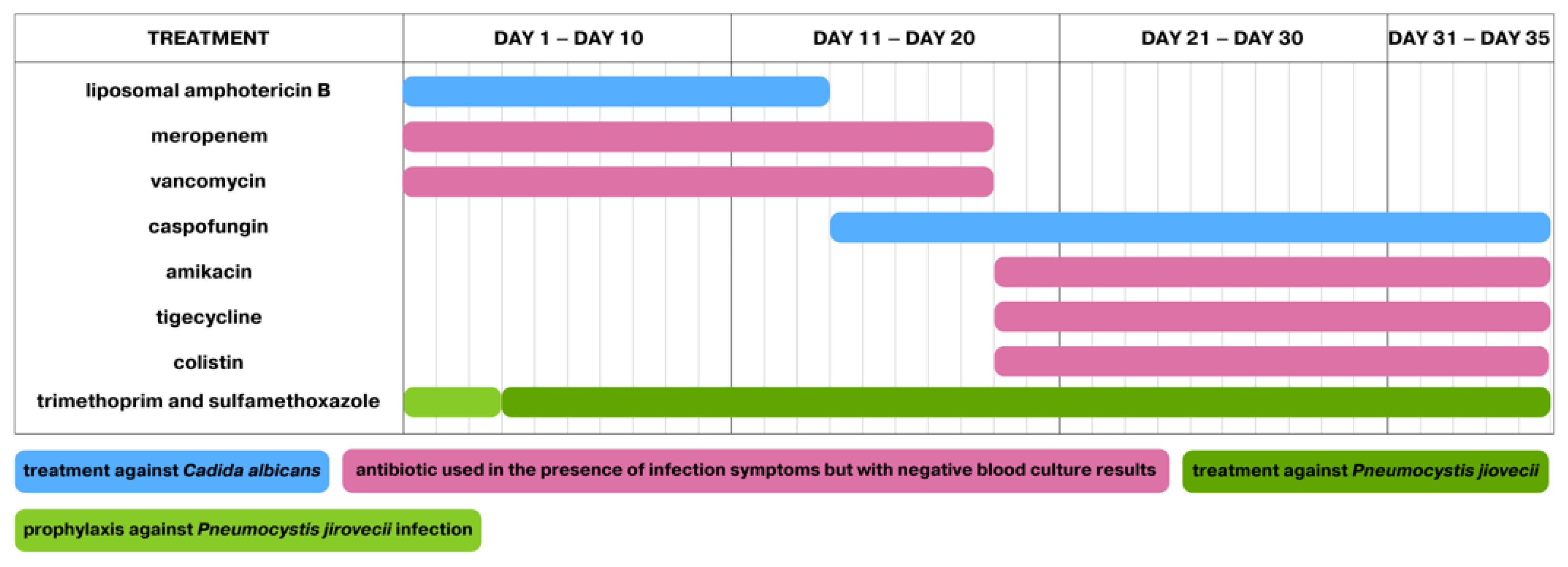 Pathogens 13 00772 g002