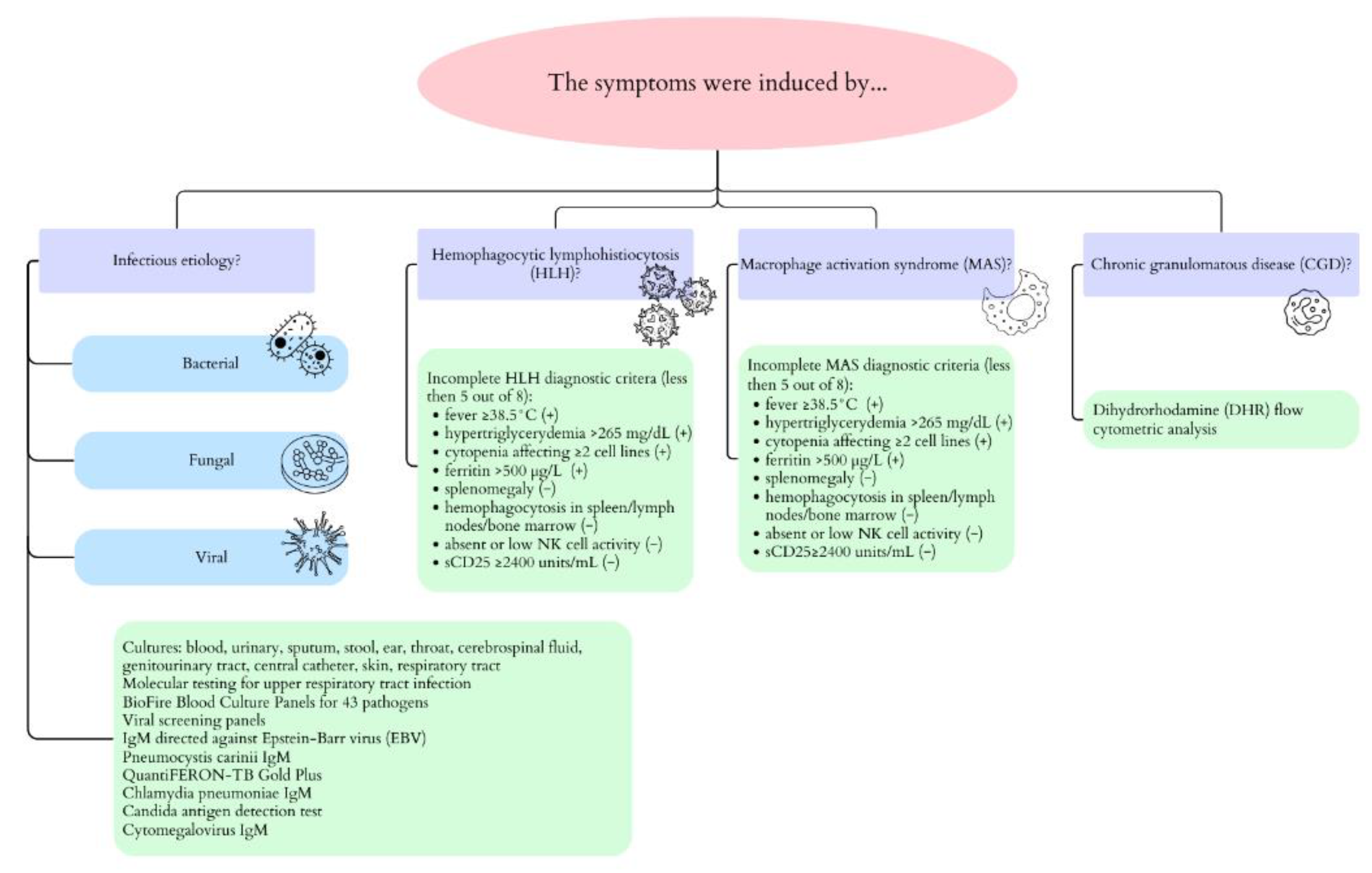 Pathogens 13 00772 g004