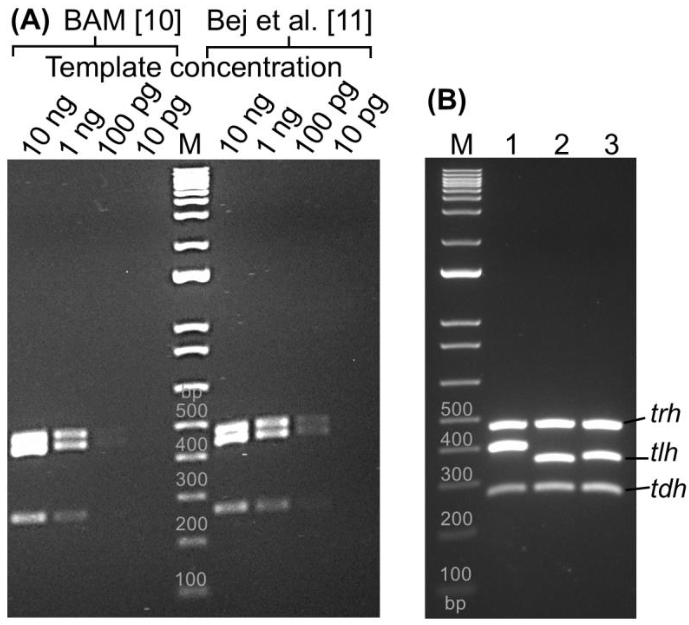 Pathogens 13 00774 g001