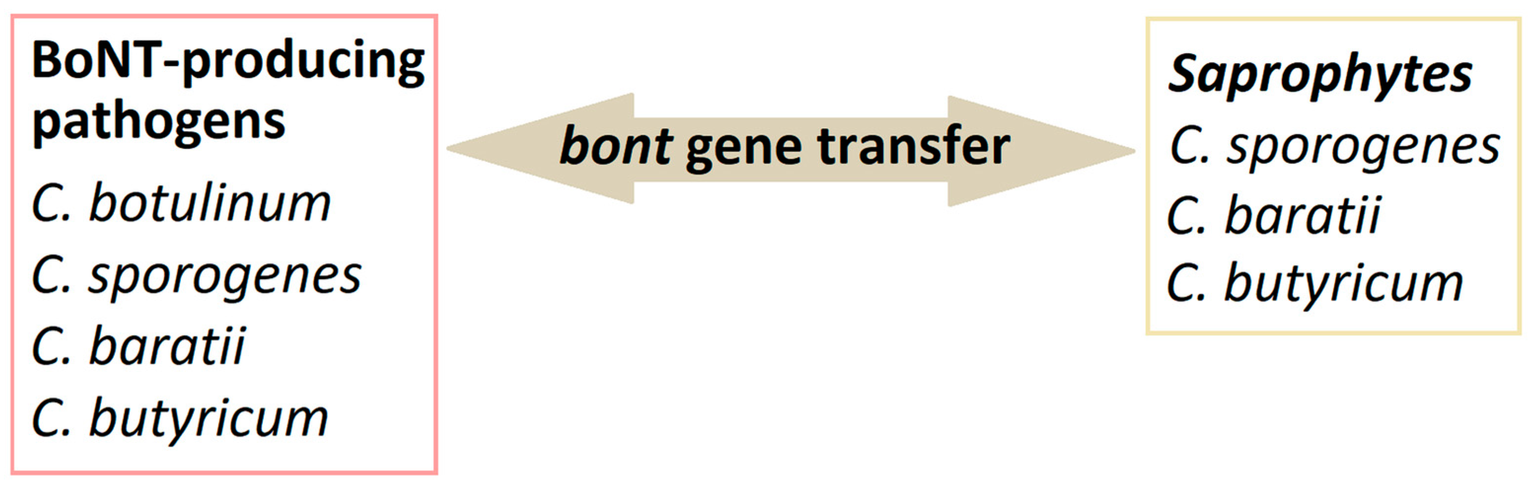 Pathogens 13 00780 g001 Pathogens 13 00780 g001