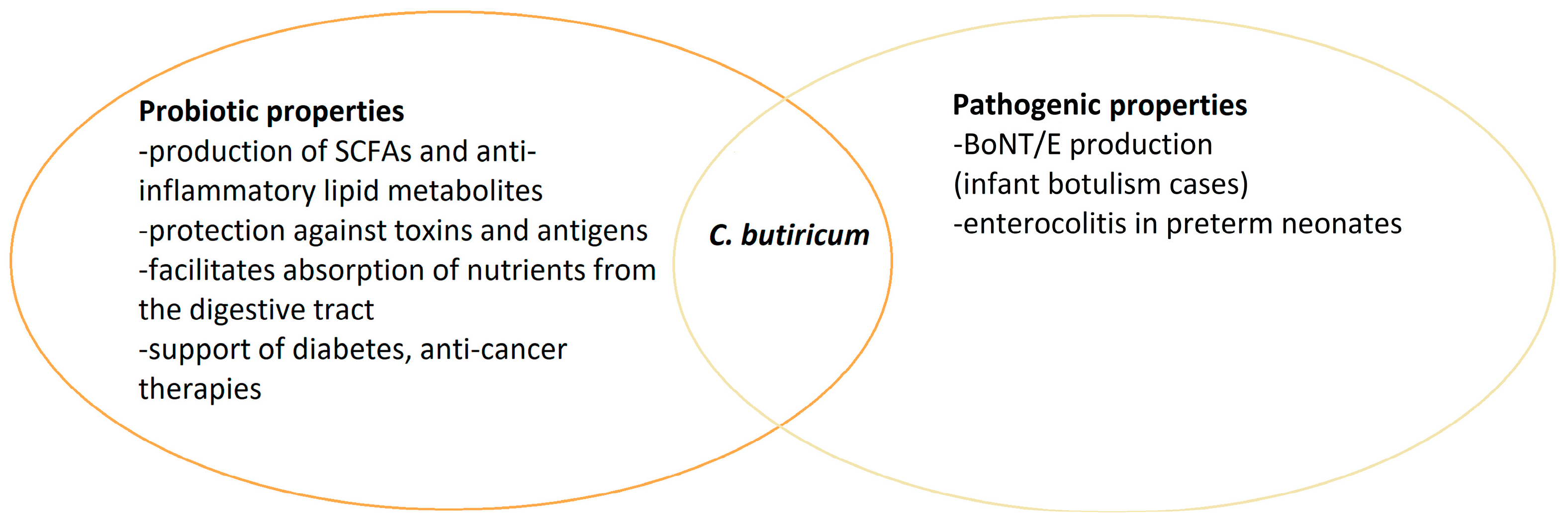 Pathogens 13 00780 g002 Pathogens 13 00780 g002