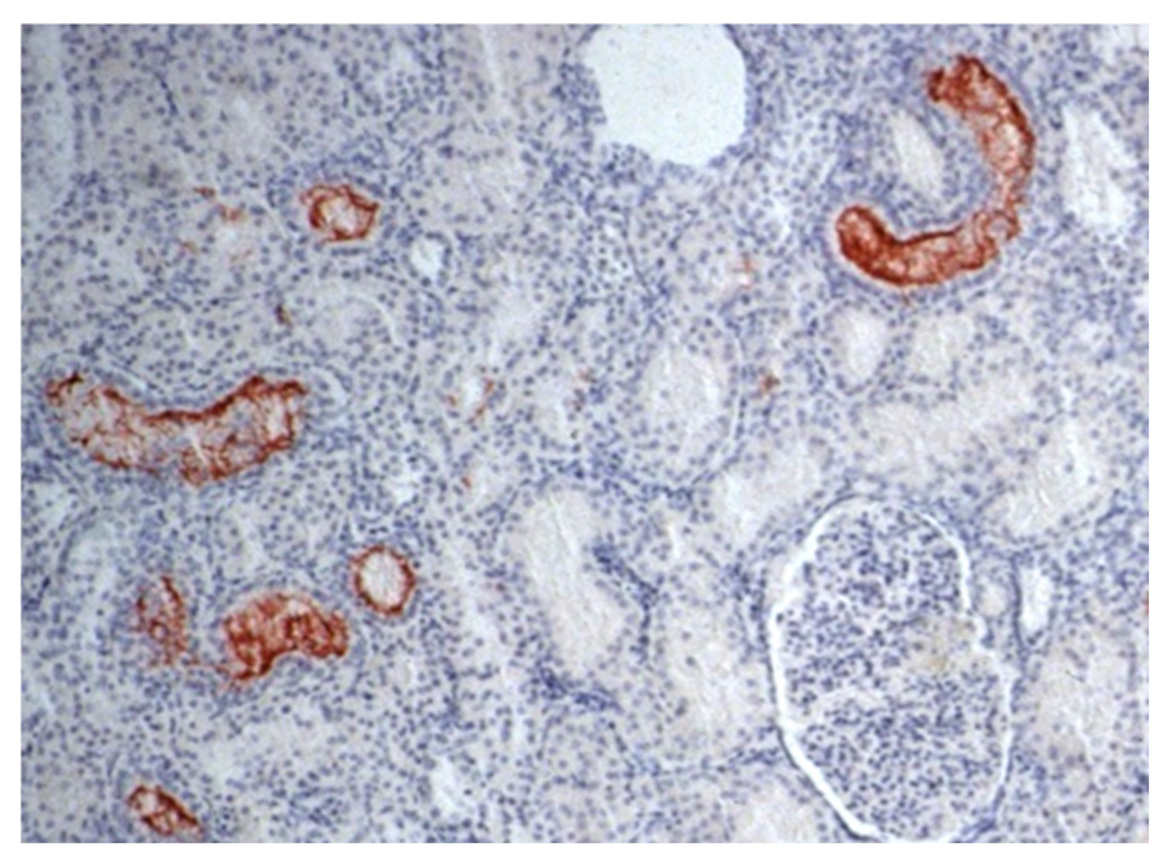 Pathogens 13 00792 g001