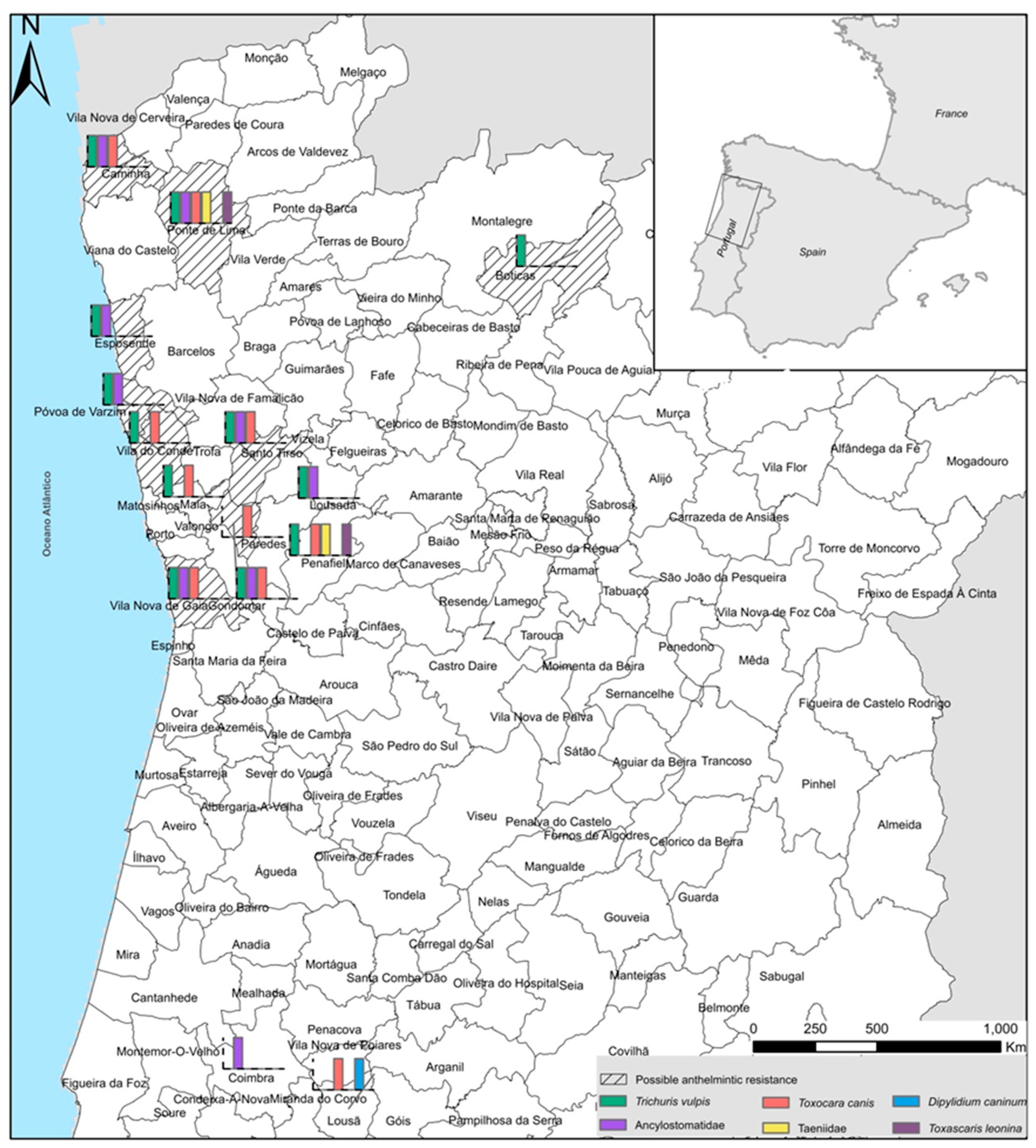 Pathogens 13 00799 g001