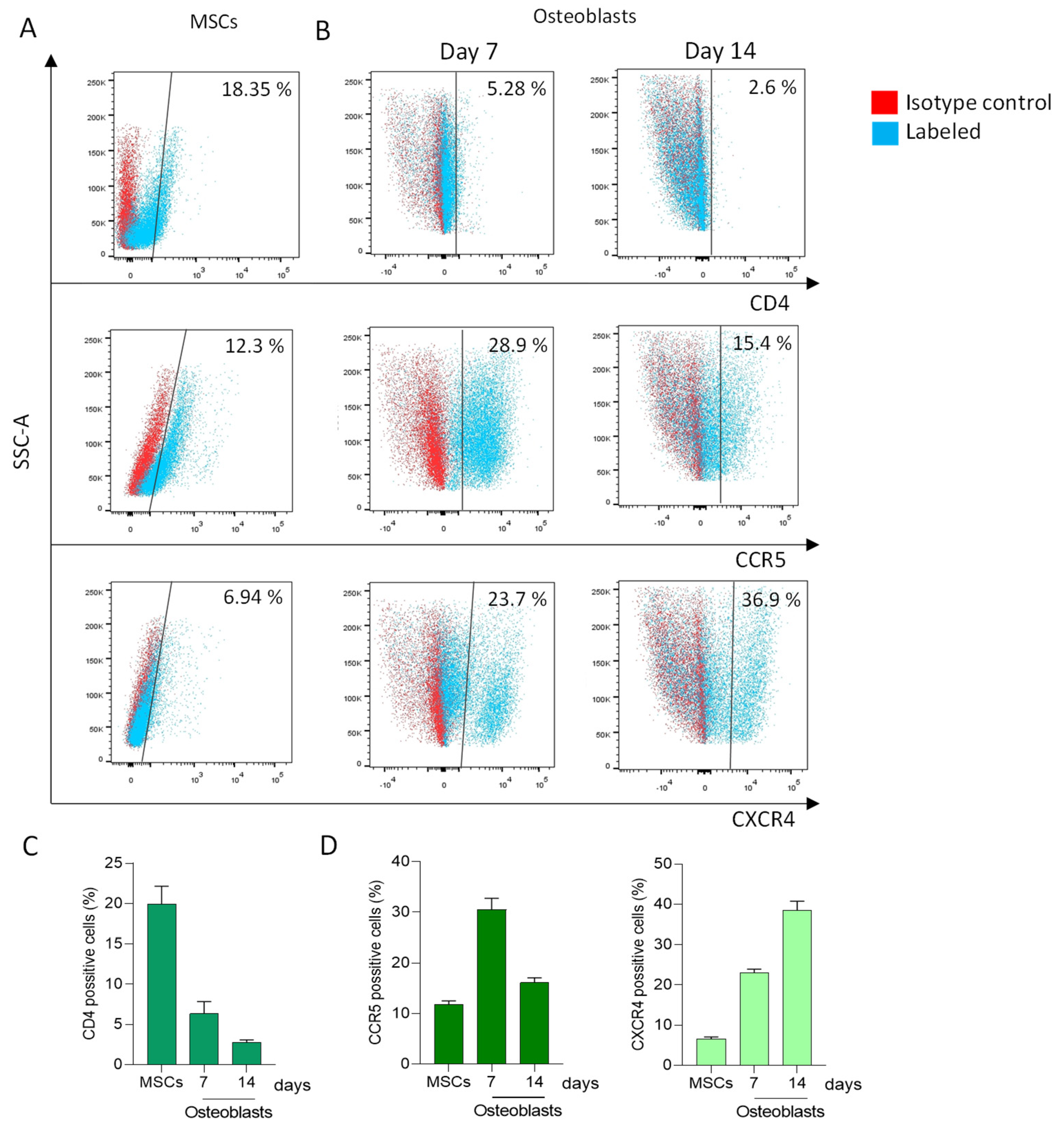 Pathogens 13 00800 g001
