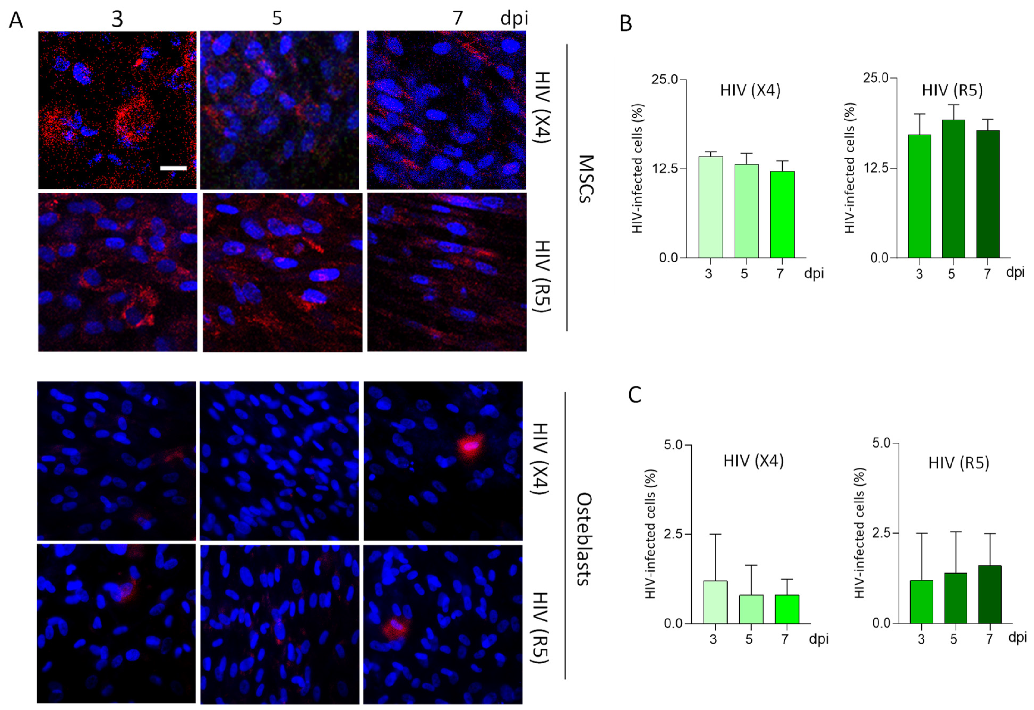 Pathogens 13 00800 g002
