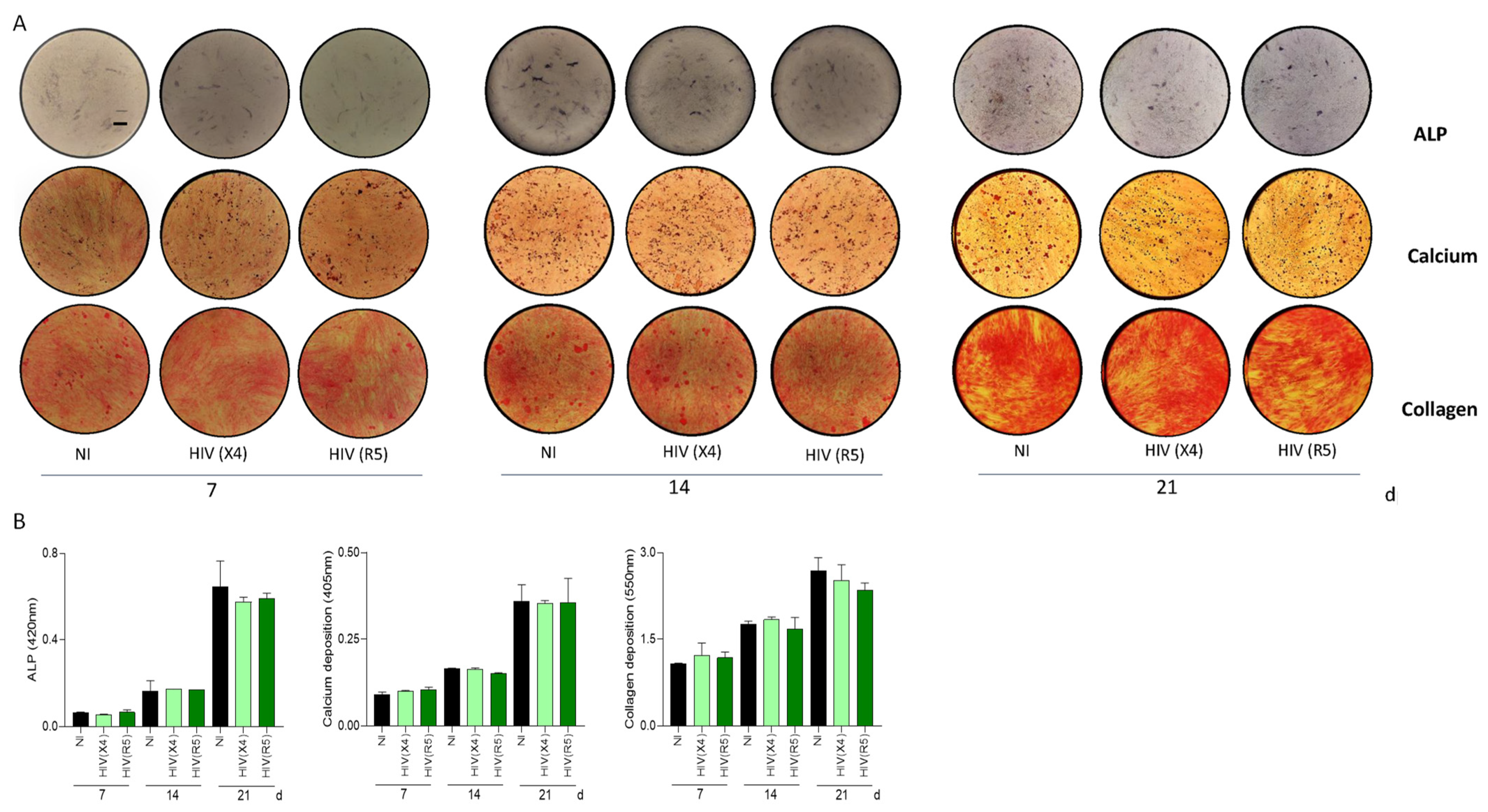 Pathogens 13 00800 g003