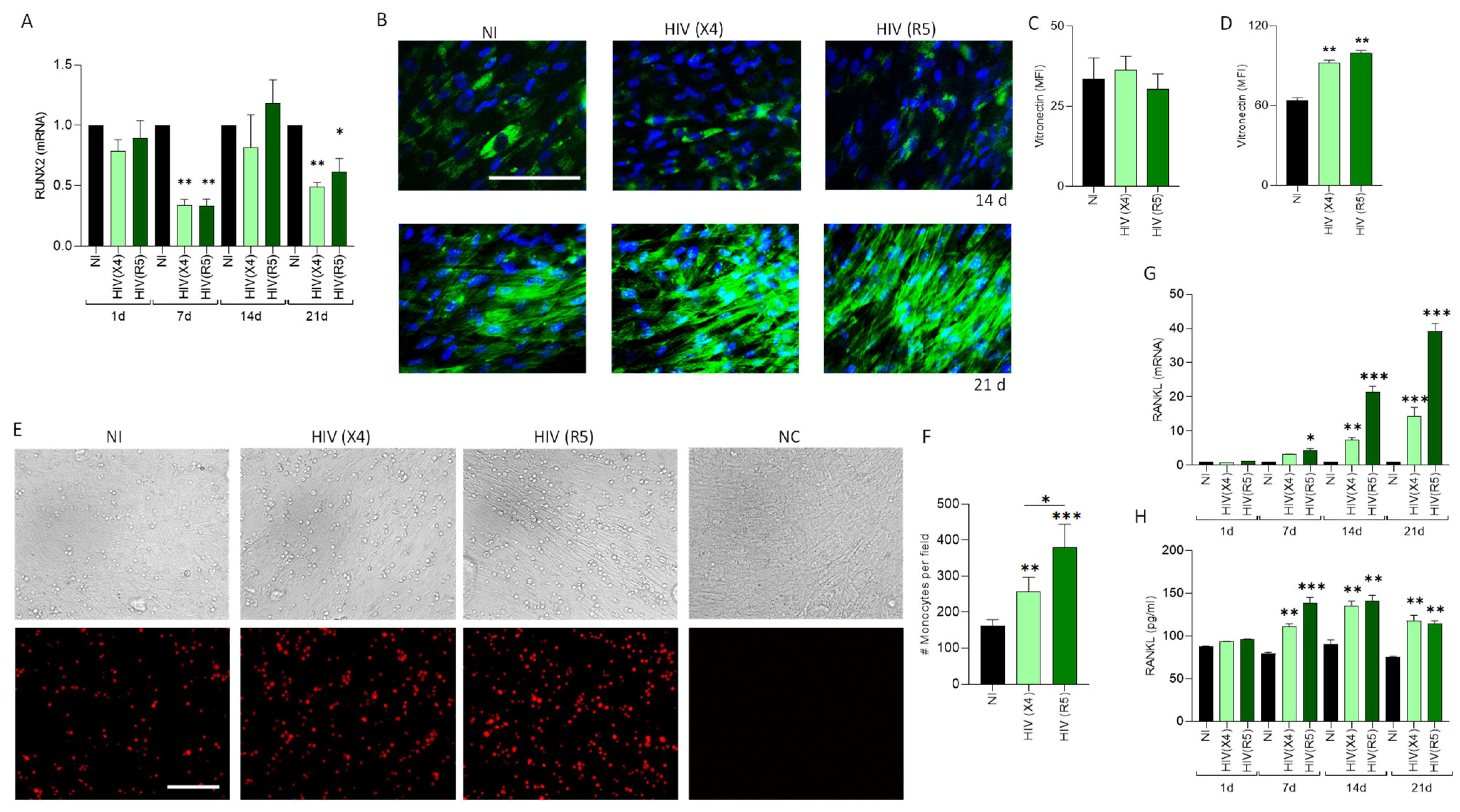 Pathogens 13 00800 g004