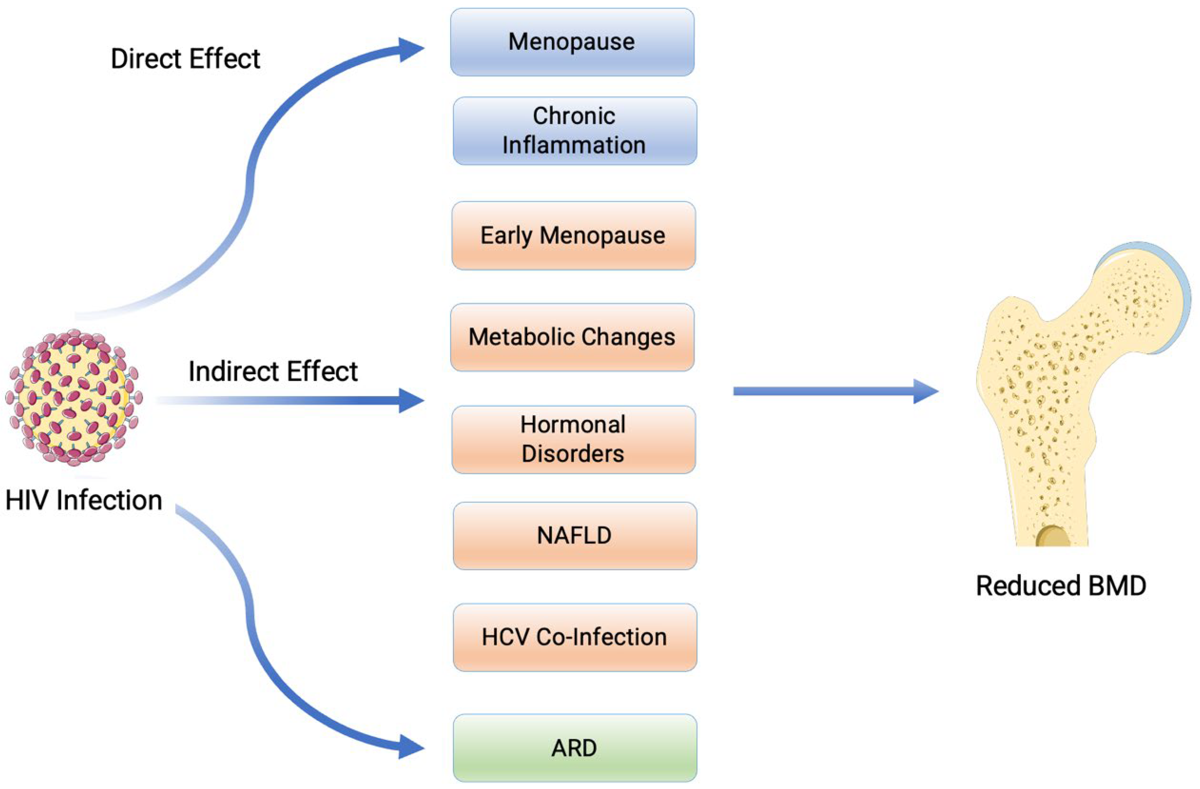 Pathogens 13 00811 g002