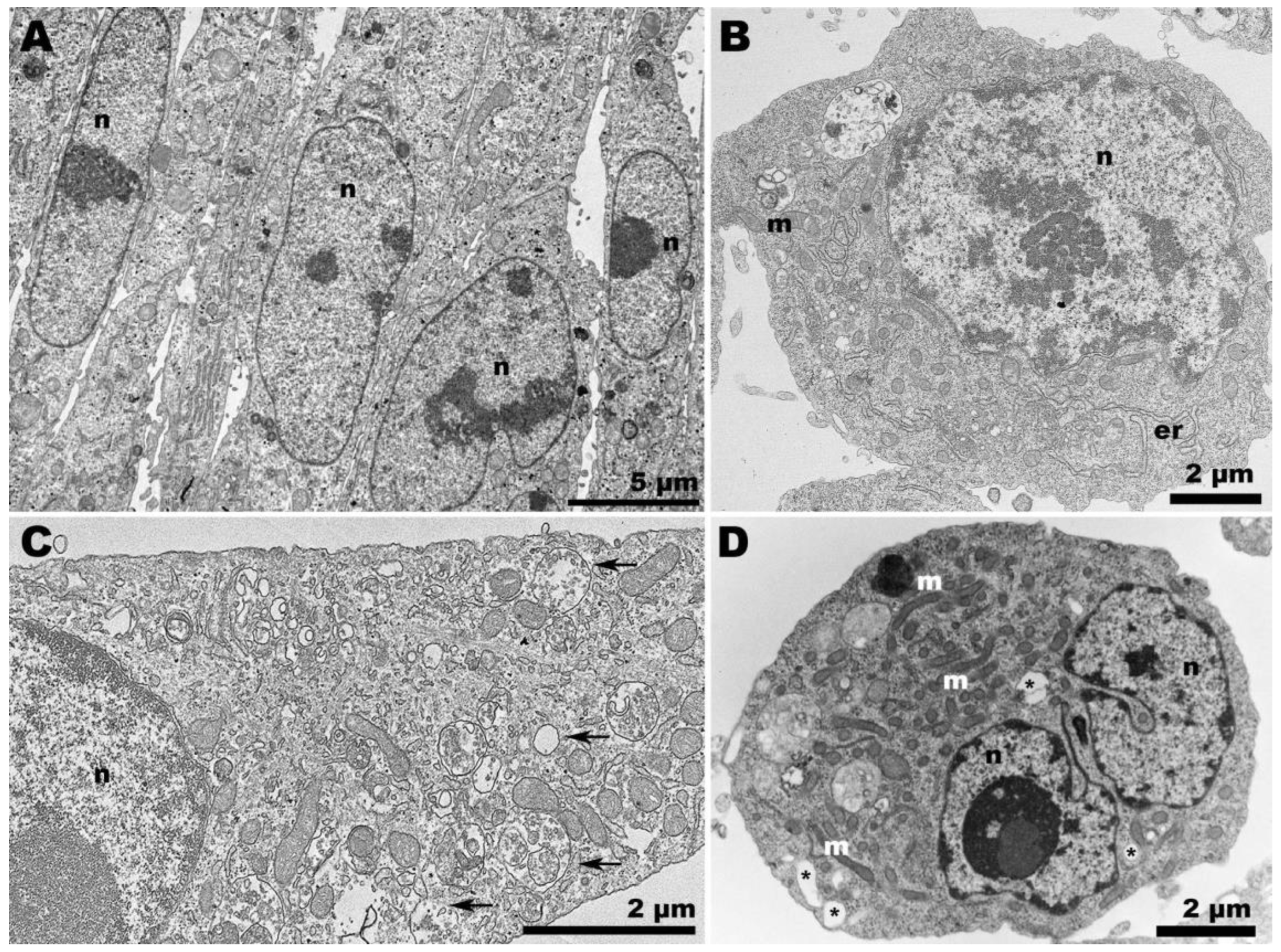 Pathogens 13 00814 g002 Pathogens 13 00814 g002