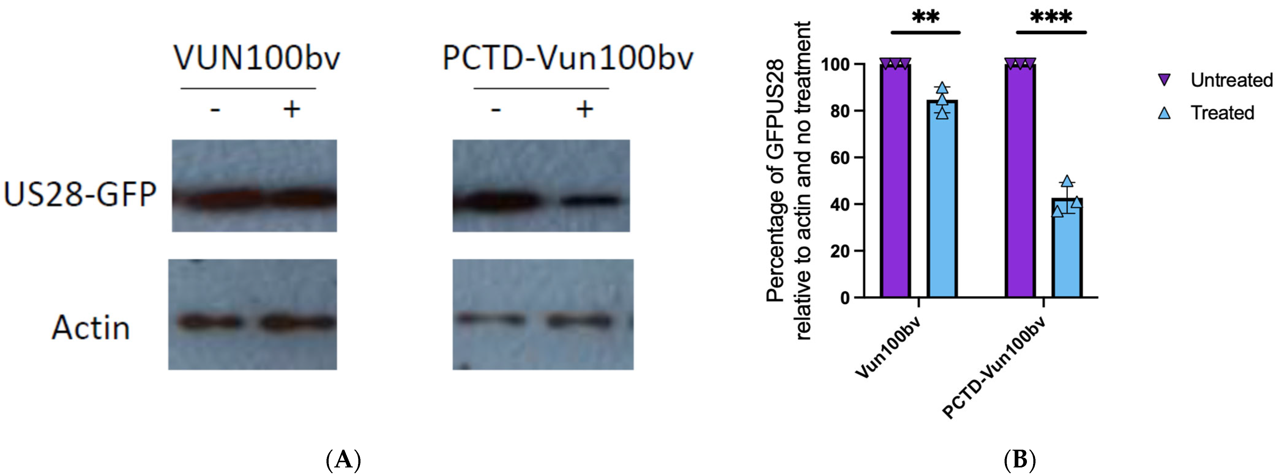 Pathogens 13 00821 g003