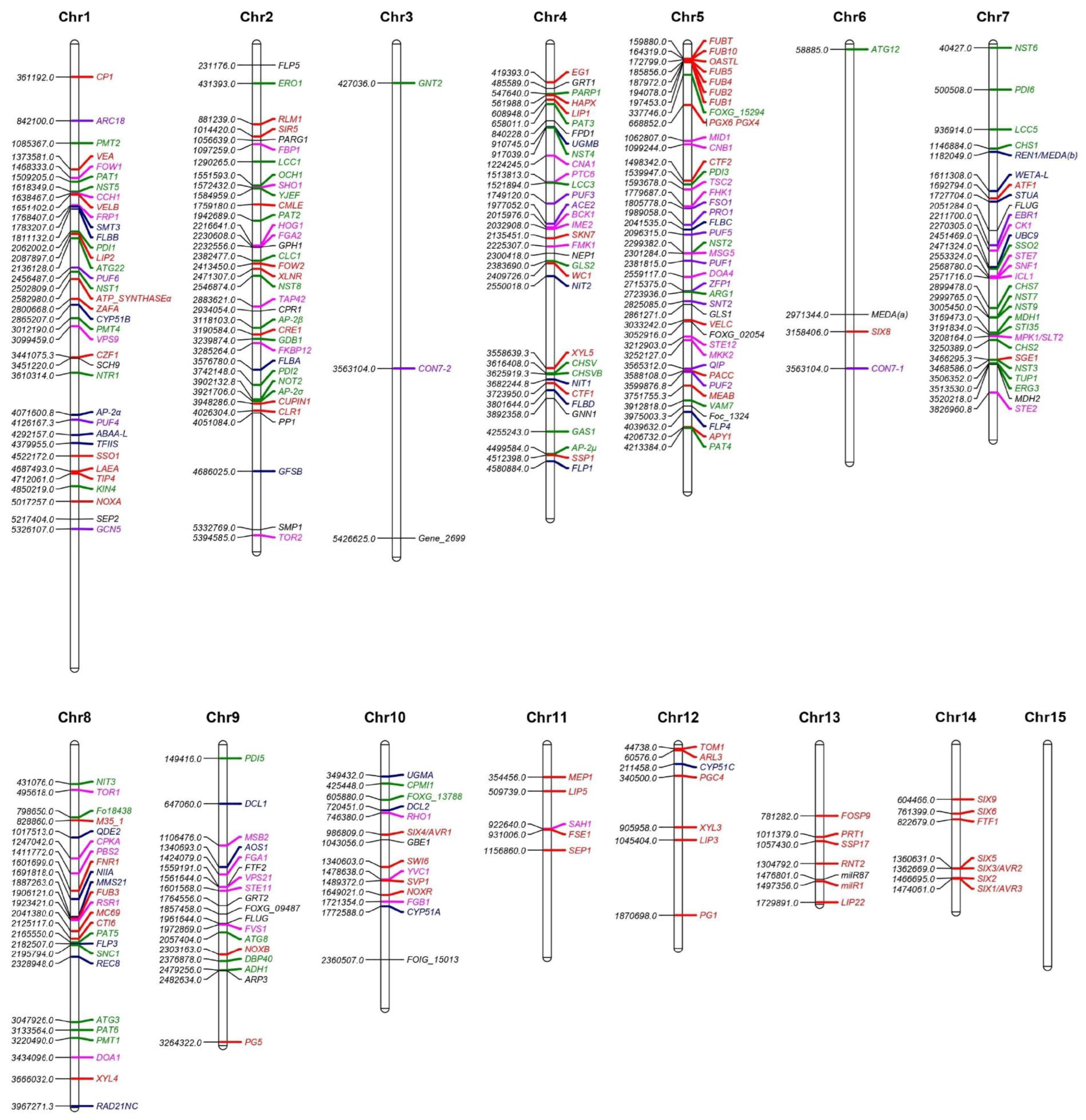 Pathogens 13 00823 g003