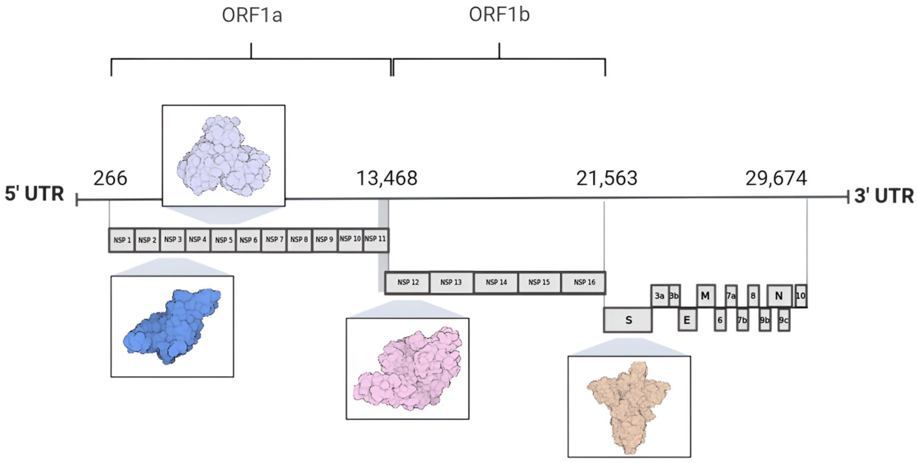 Pathogens 13 00825 g002