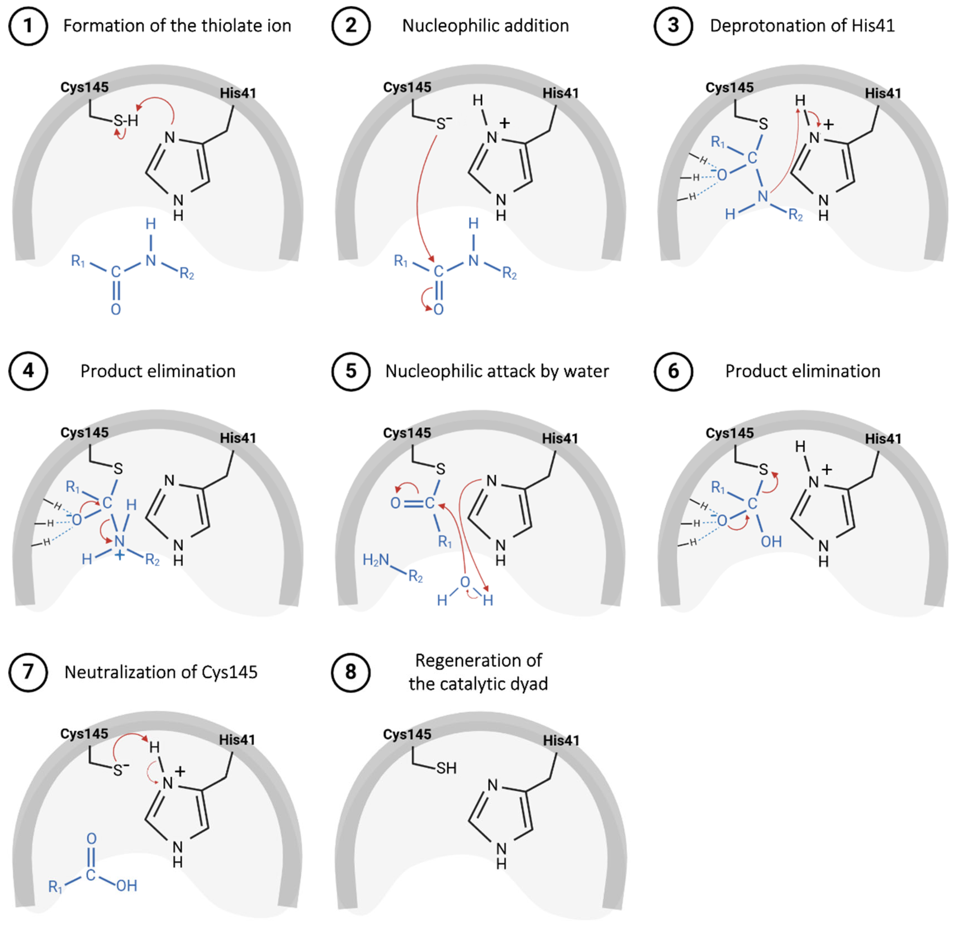 Pathogens 13 00825 g005