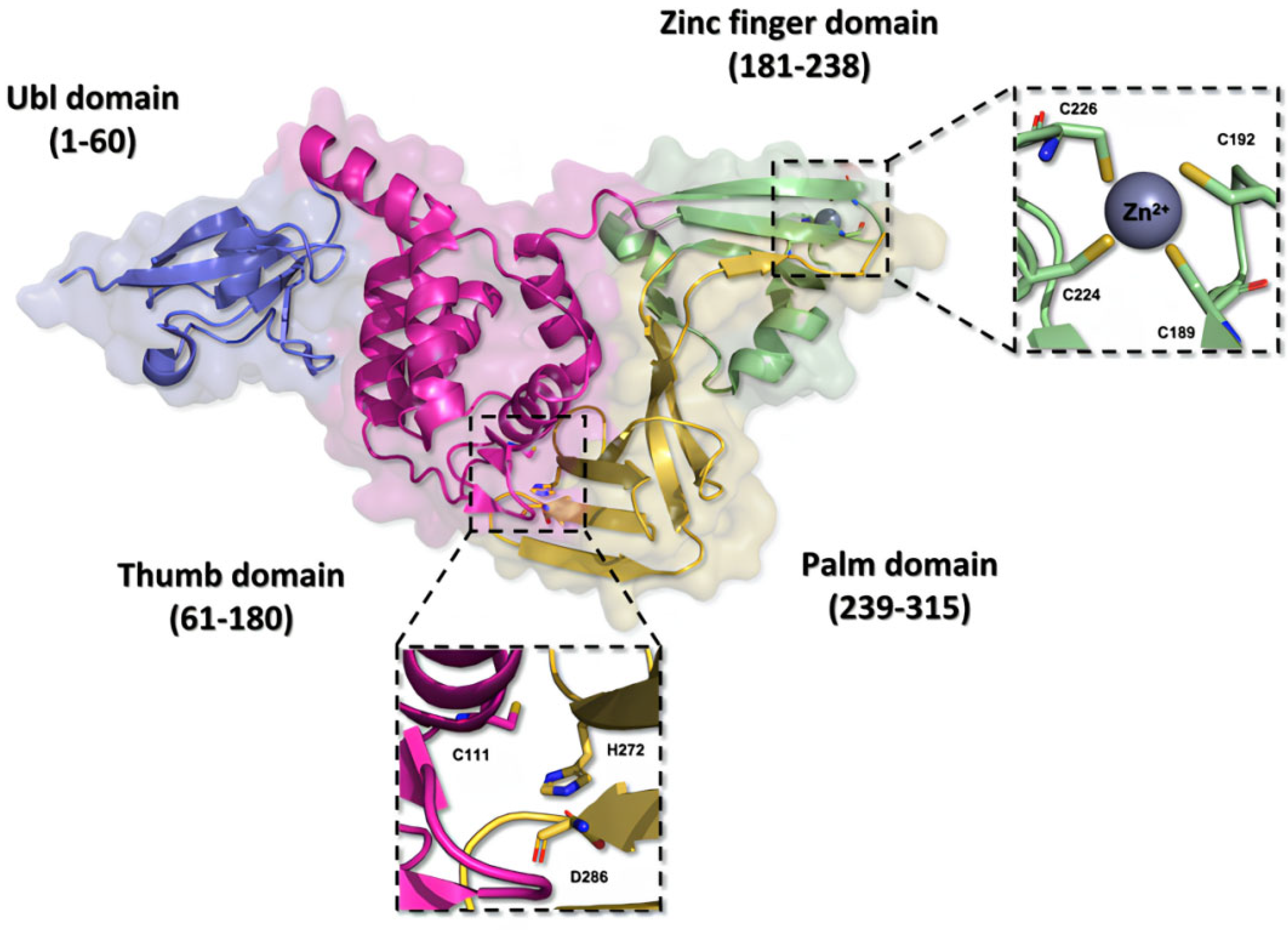 Pathogens 13 00825 g007