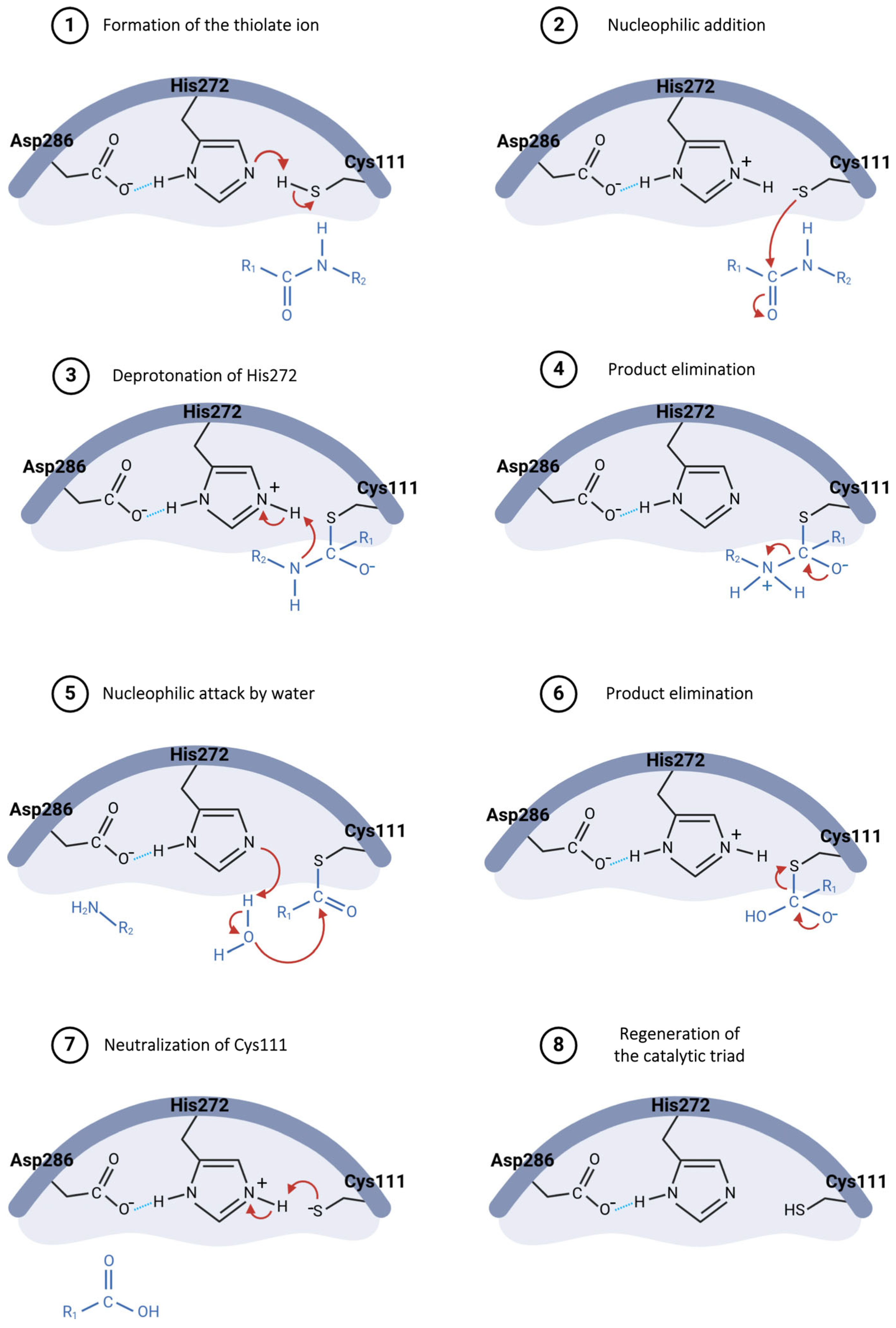 Pathogens 13 00825 g008