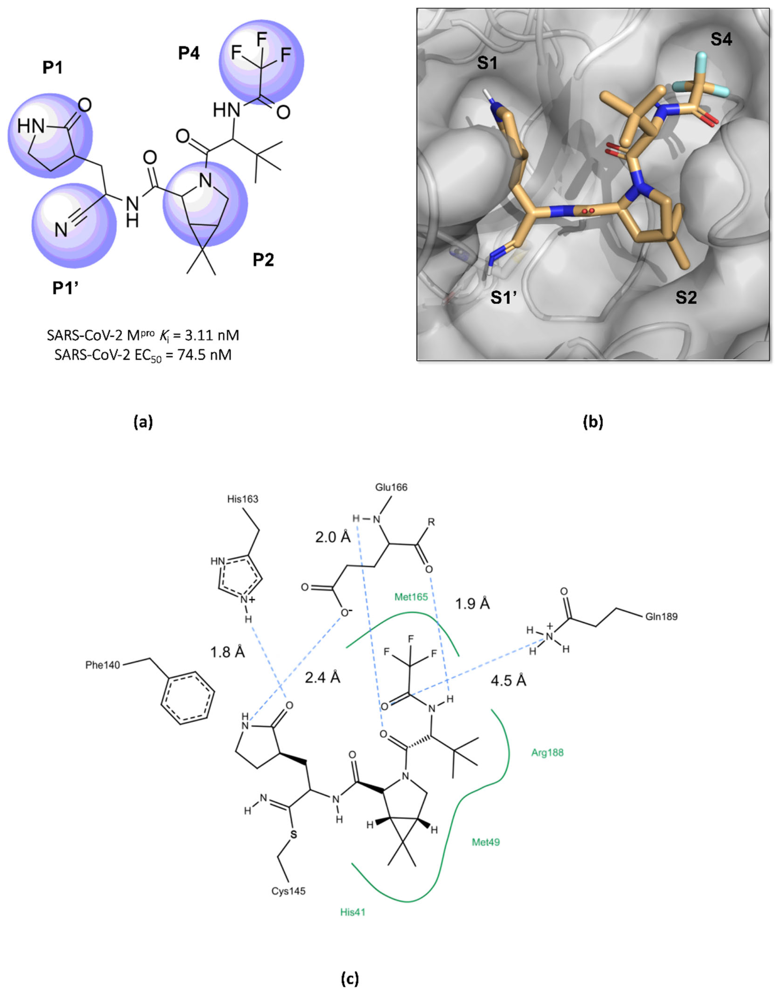 Pathogens 13 00825 g010