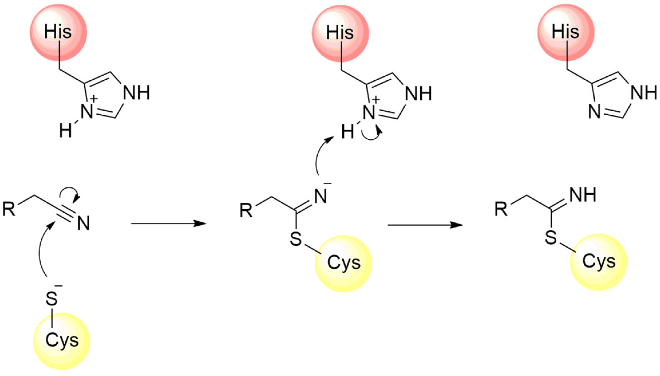Pathogens 13 00825 g011