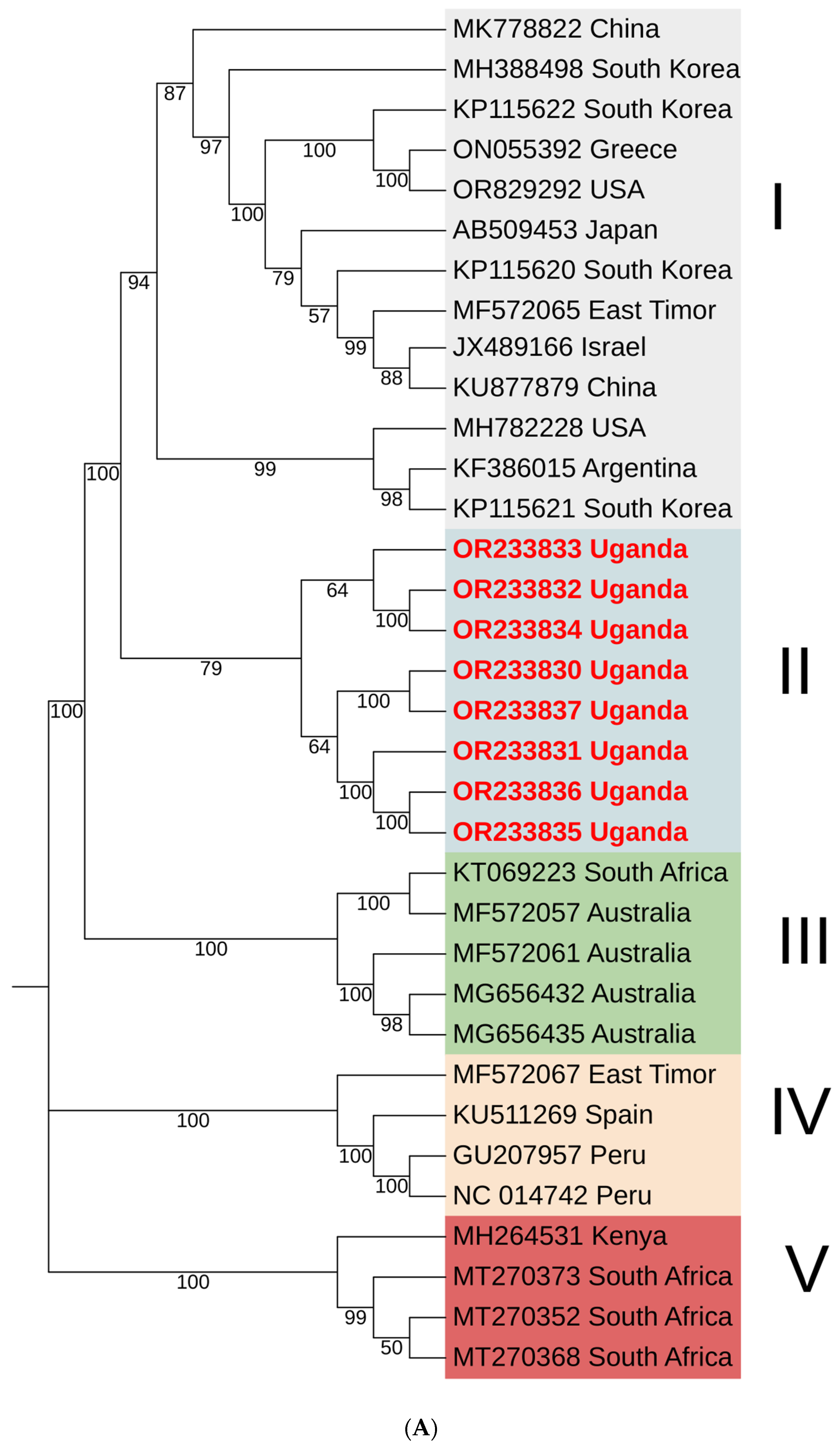 Pathogens 13 00833 g005a