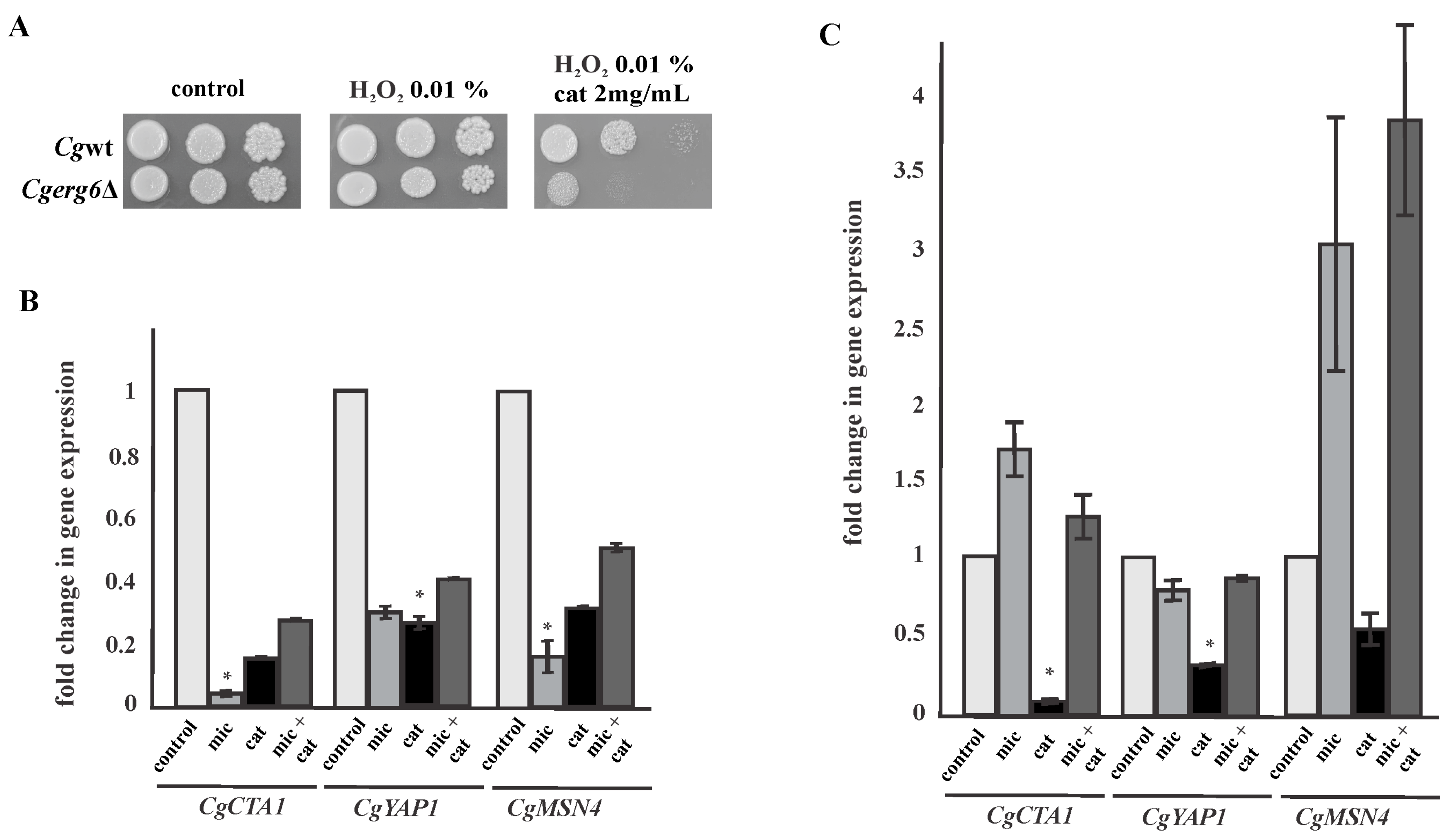 Pathogens 13 00834 g003
