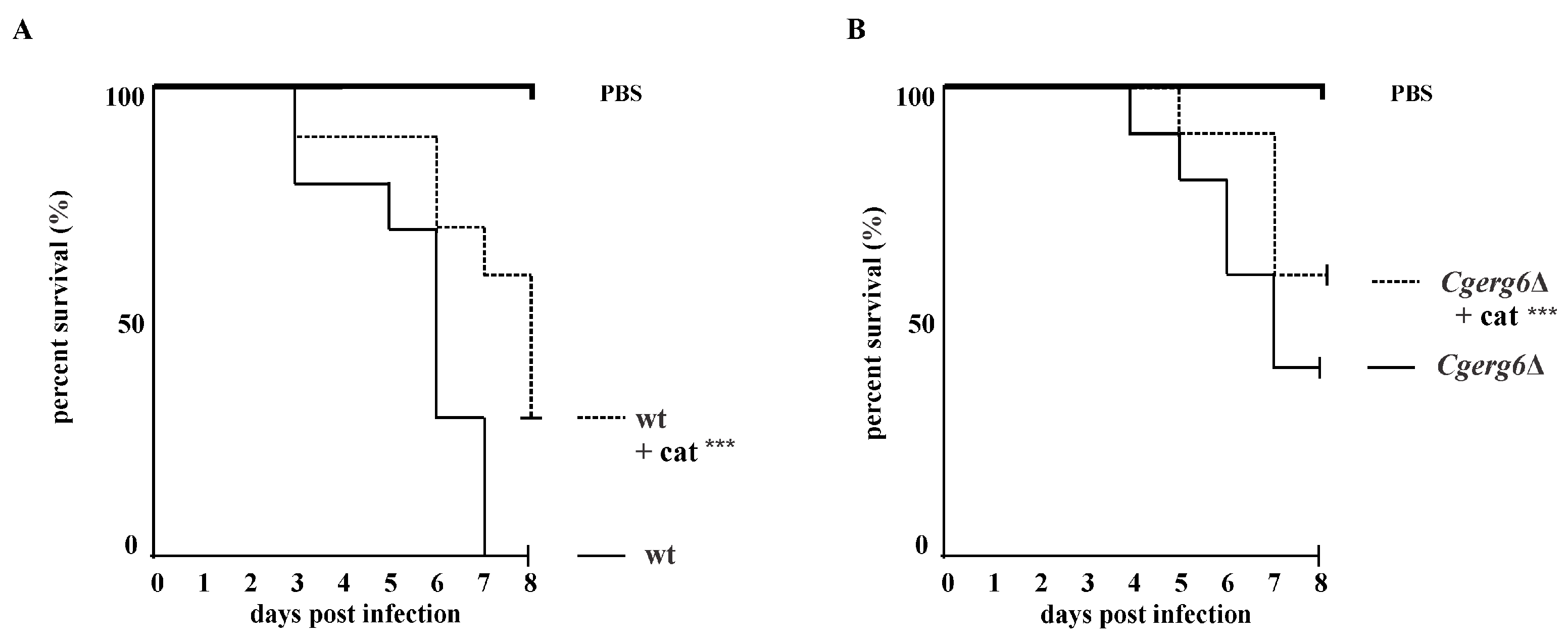 Pathogens 13 00834 g004