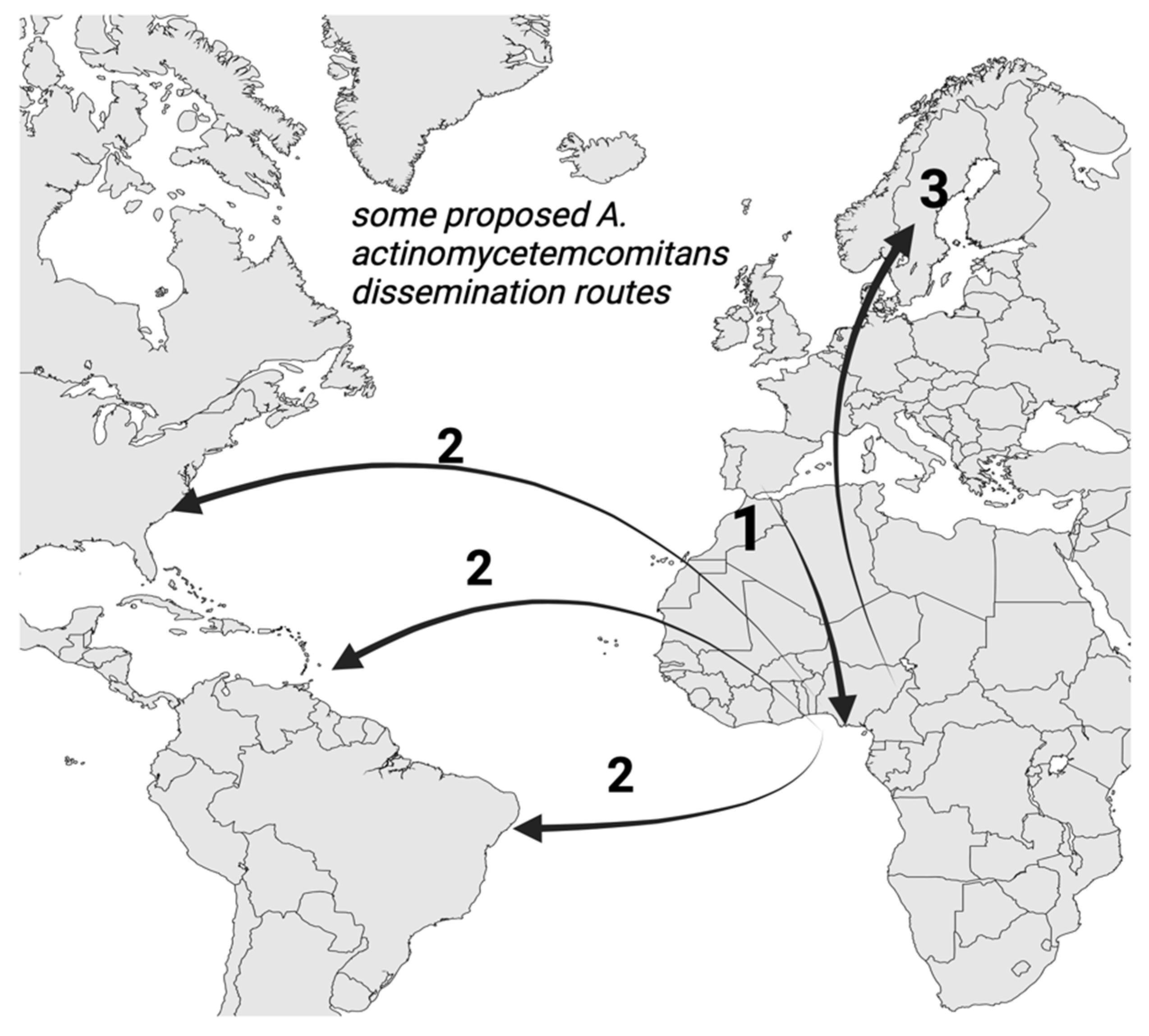 Pathogens 13 00837 g001 Pathogens 13 00837 g001