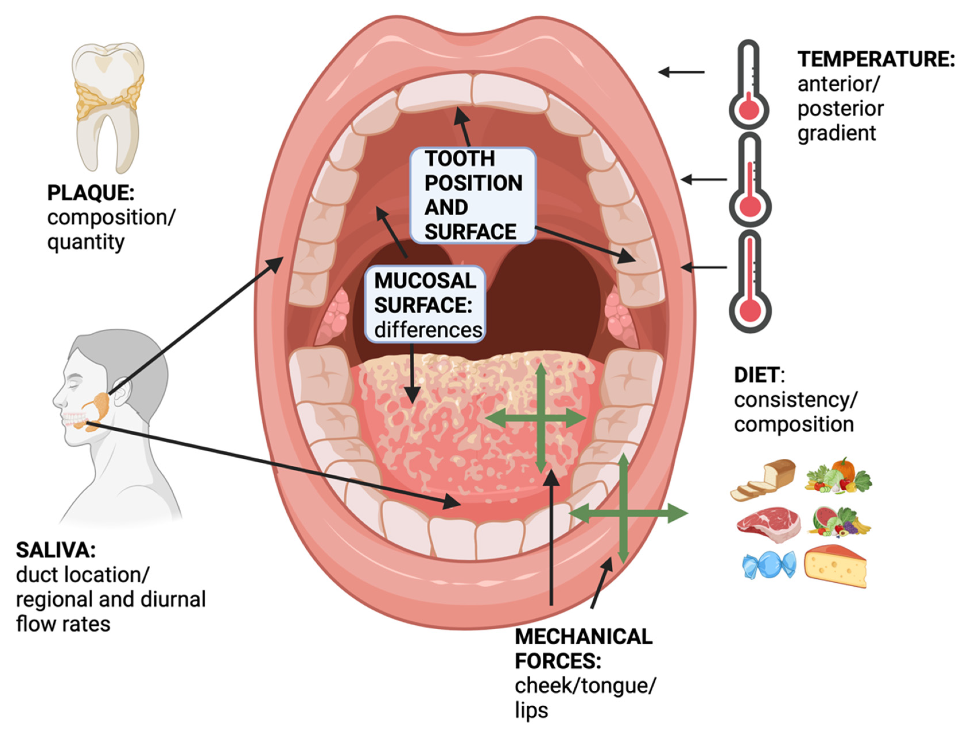 Pathogens 13 00837 g002 Pathogens 13 00837 g002