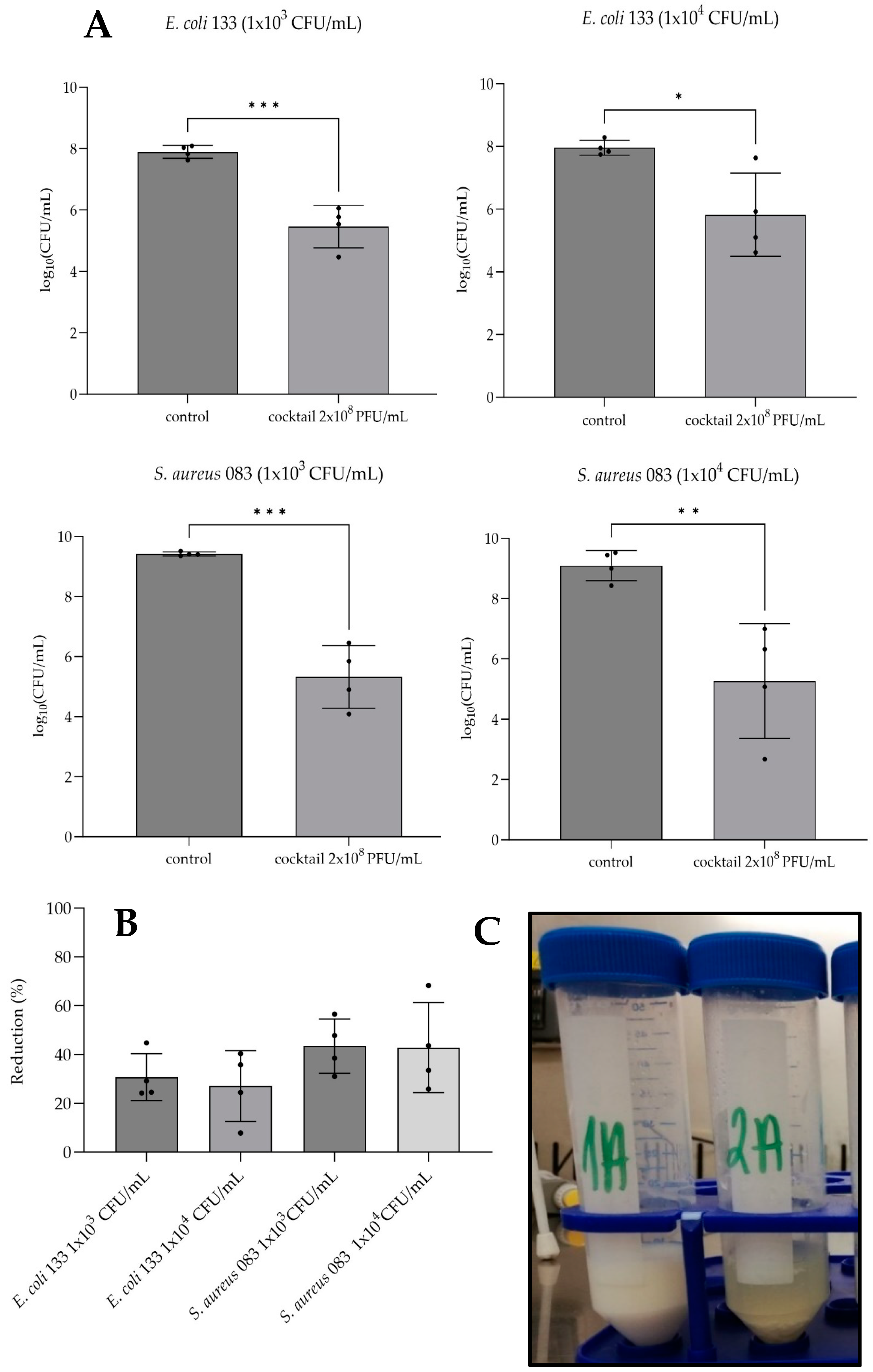 Pathogens 13 00839 g006