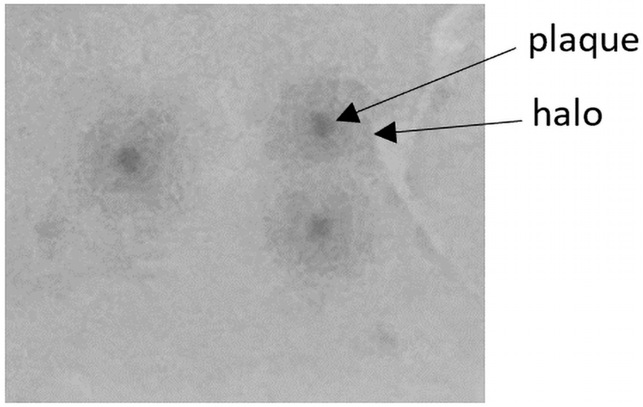 Pathogens 13 00839 g008