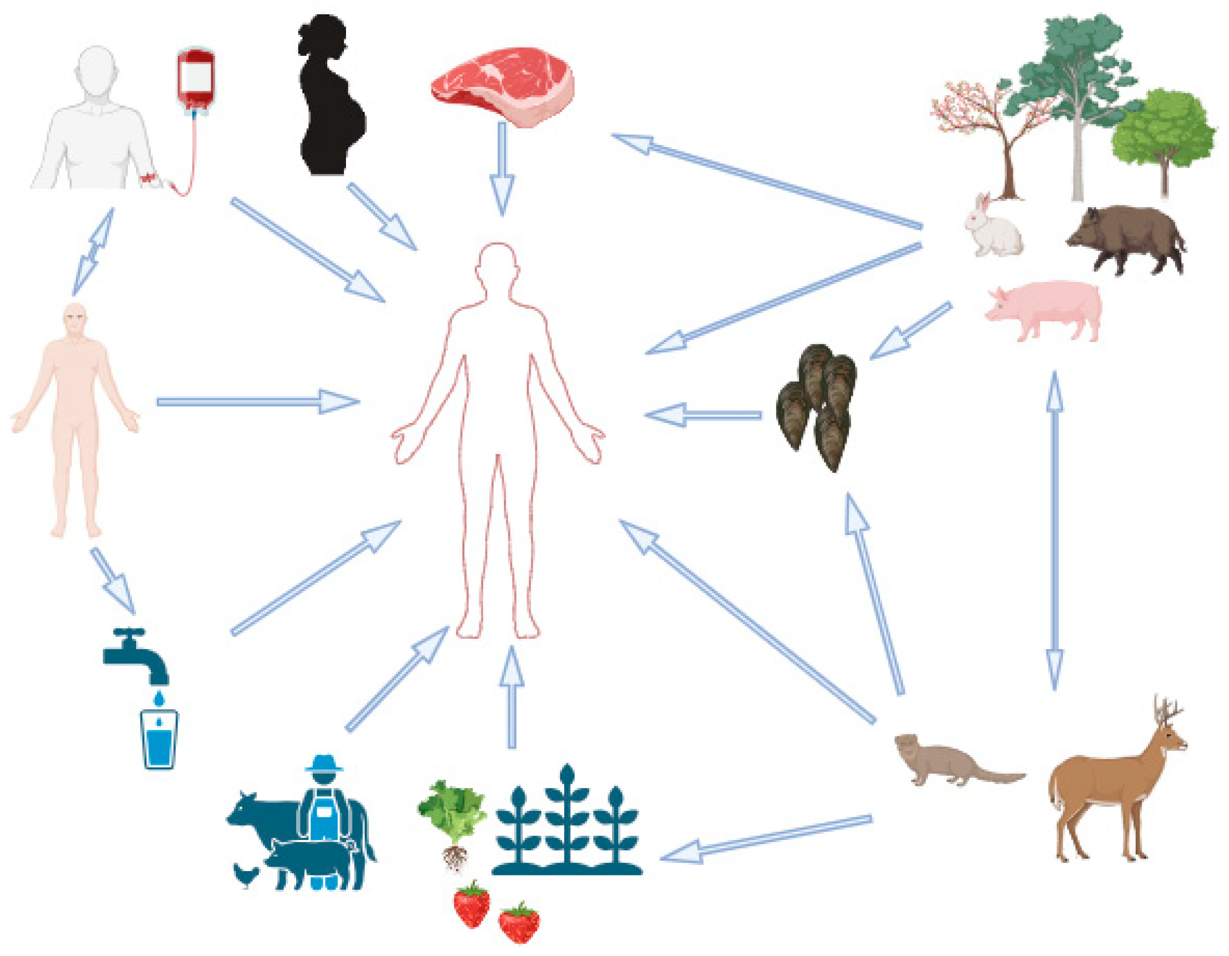 Pathogens 13 00840 g001 Pathogens 13 00840 g001