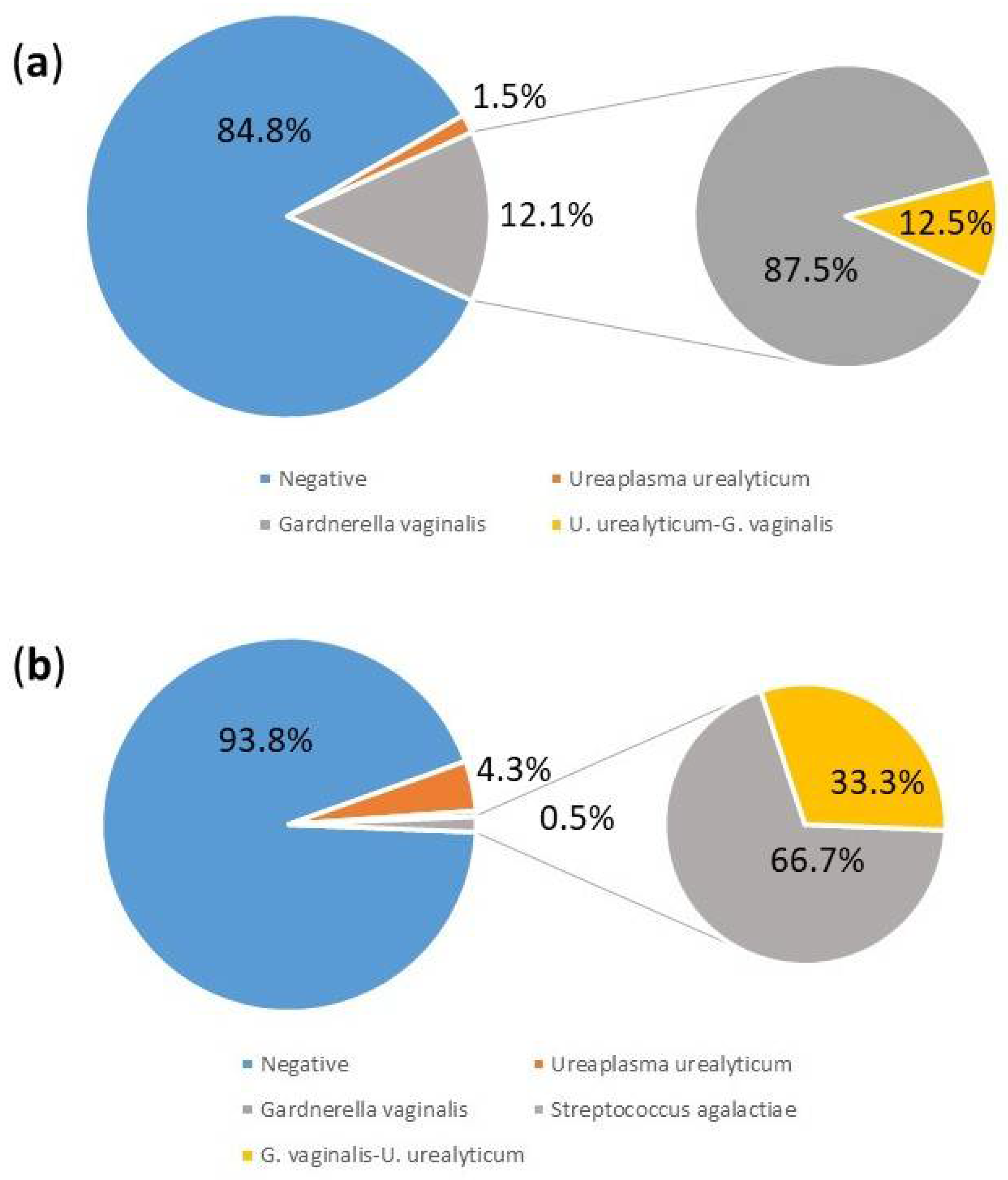 Pathogens 13 00843 g002