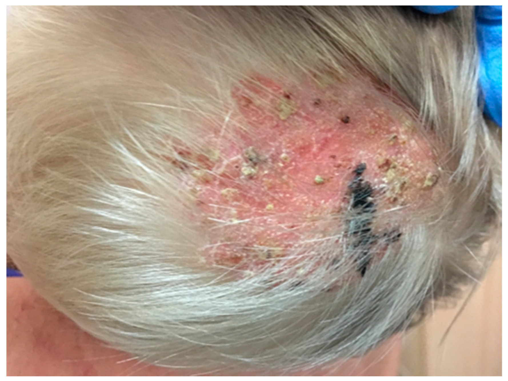 Pathogens 13 00848 g002