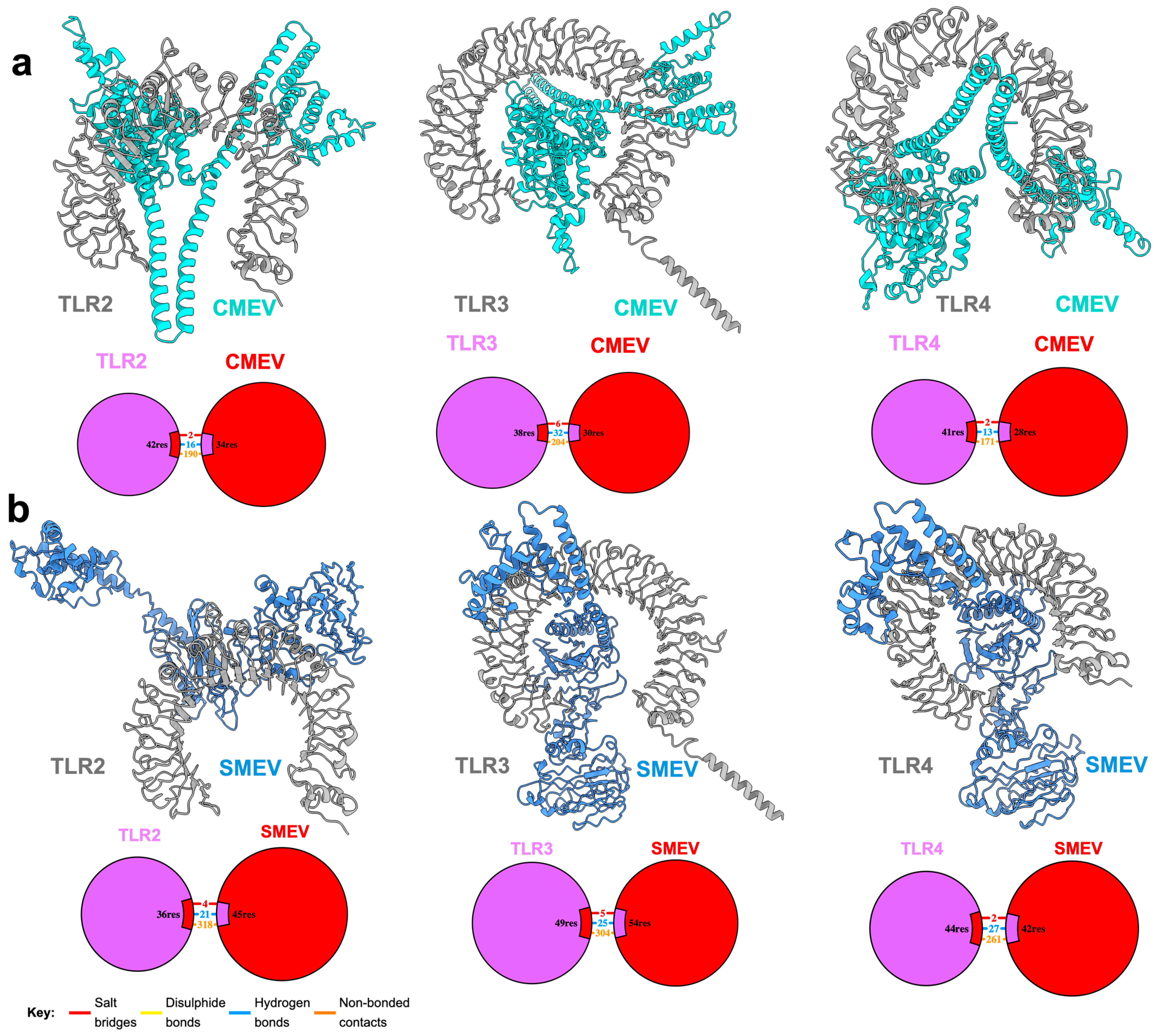 Pathogens 13 00850 g004