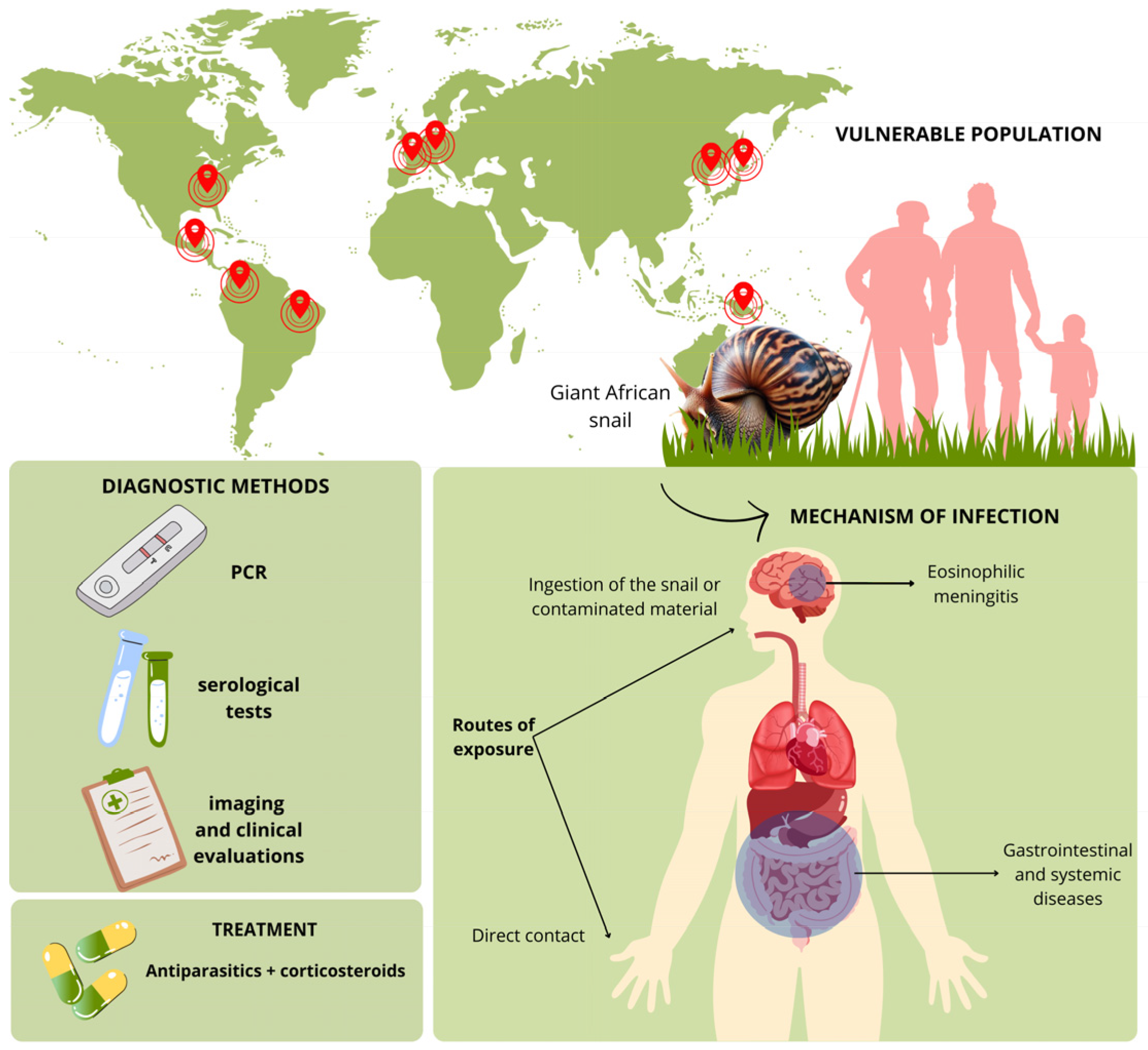 Pathogens 13 00862 g007