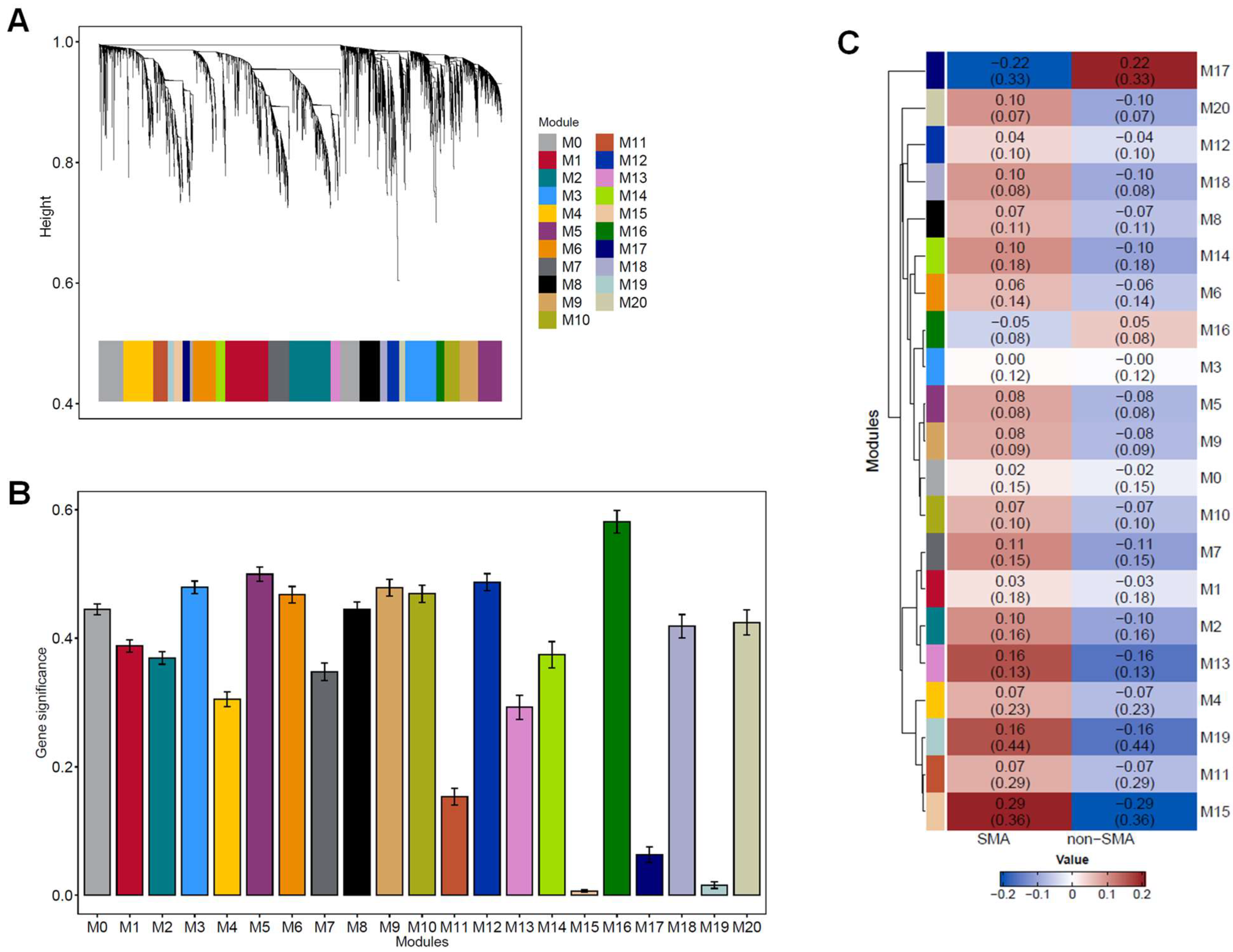 Pathogens 13 00867 g004