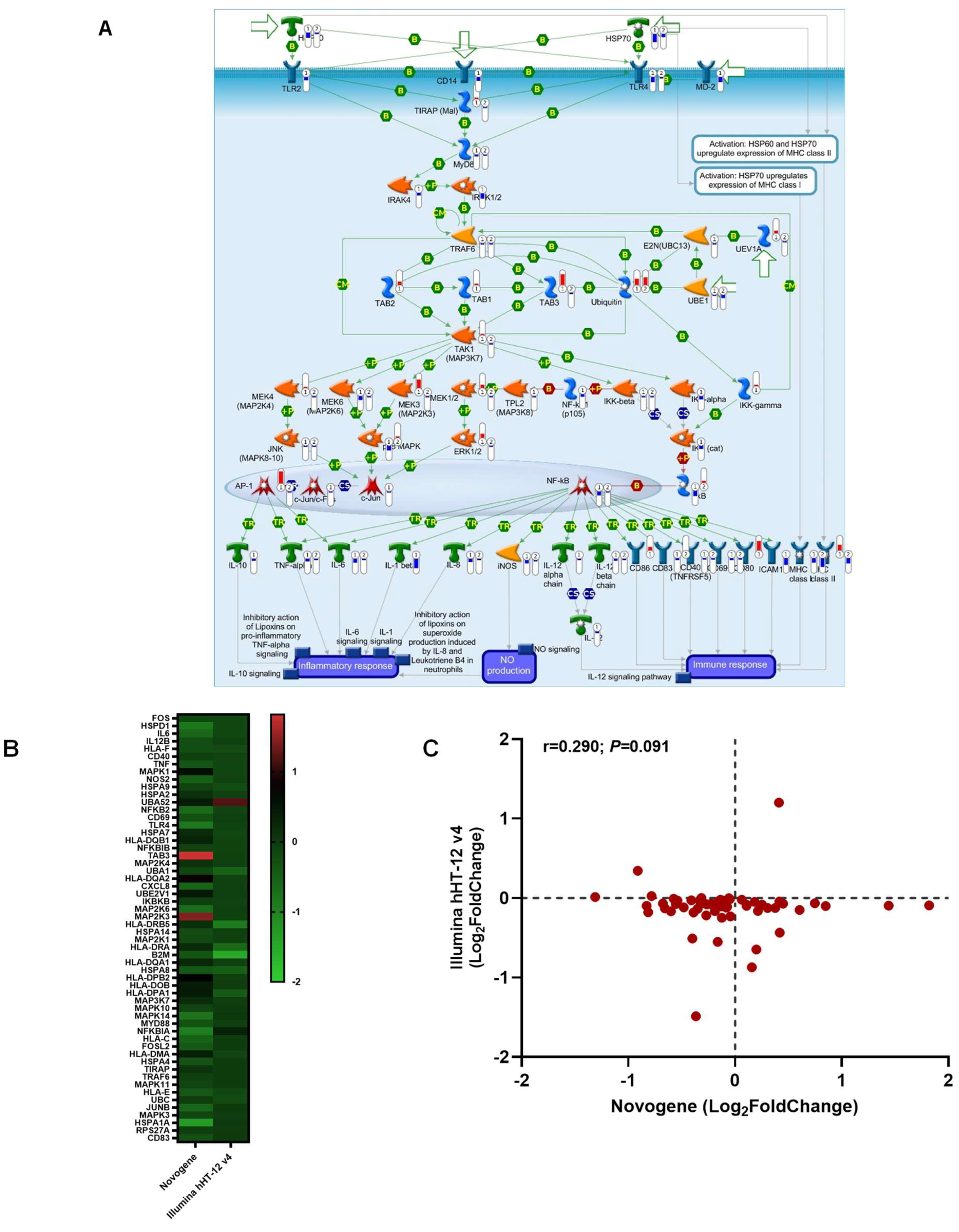 Pathogens 13 00867 g008