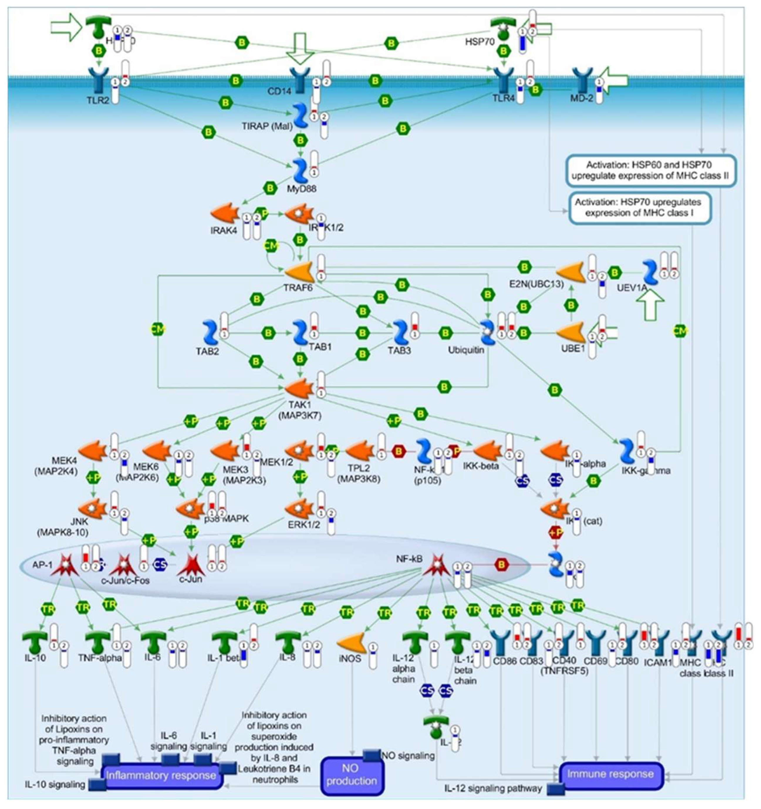 Pathogens 13 00867 g009