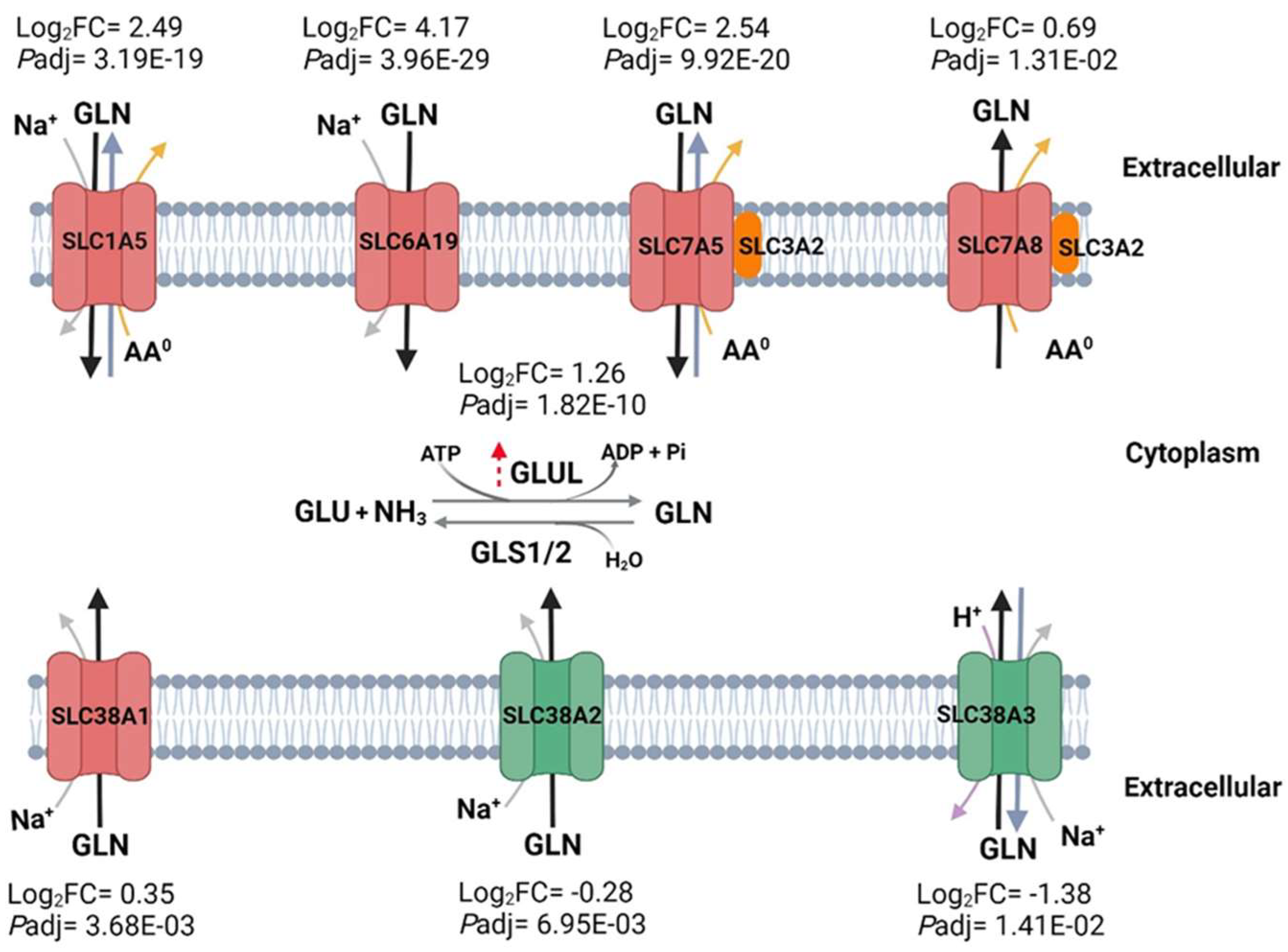 Pathogens 13 00867 g010