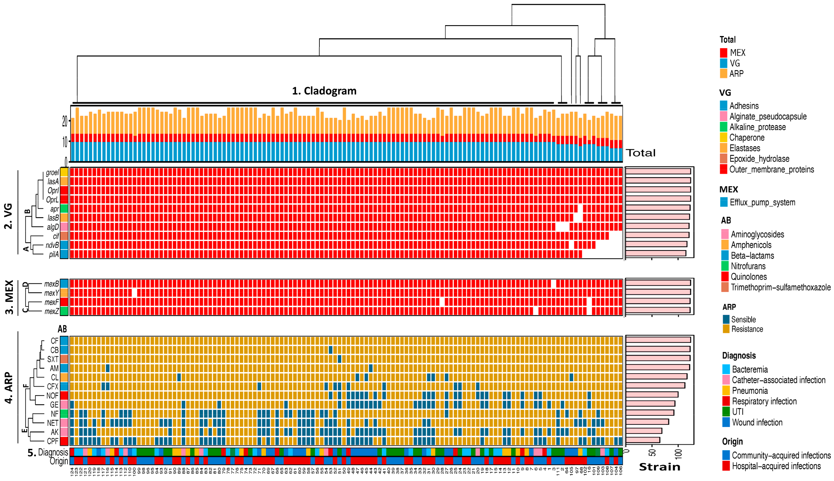 Pathogens 13 00868 g001
