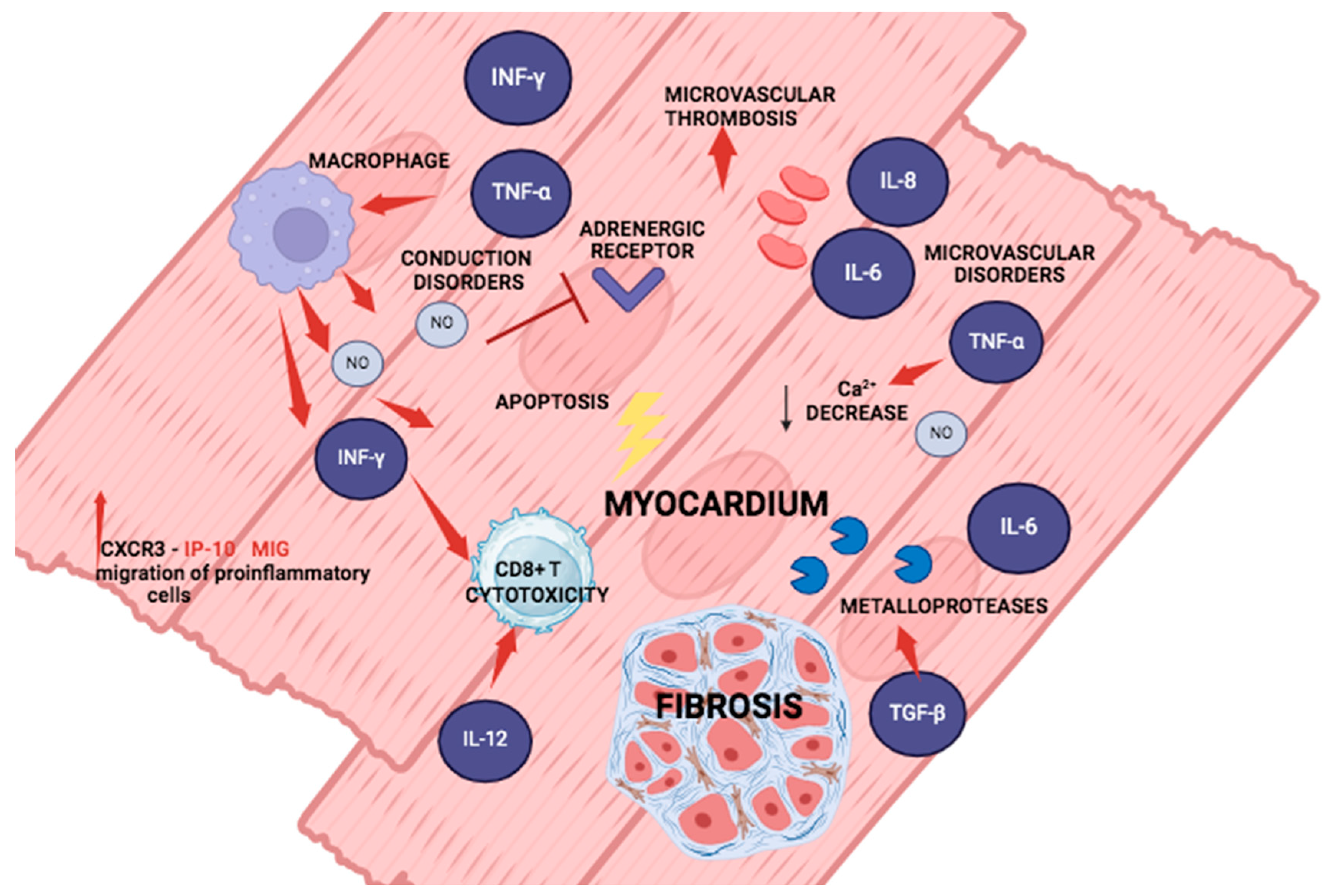 Pathogens 13 00870 g003 Pathogens 13 00870 g003