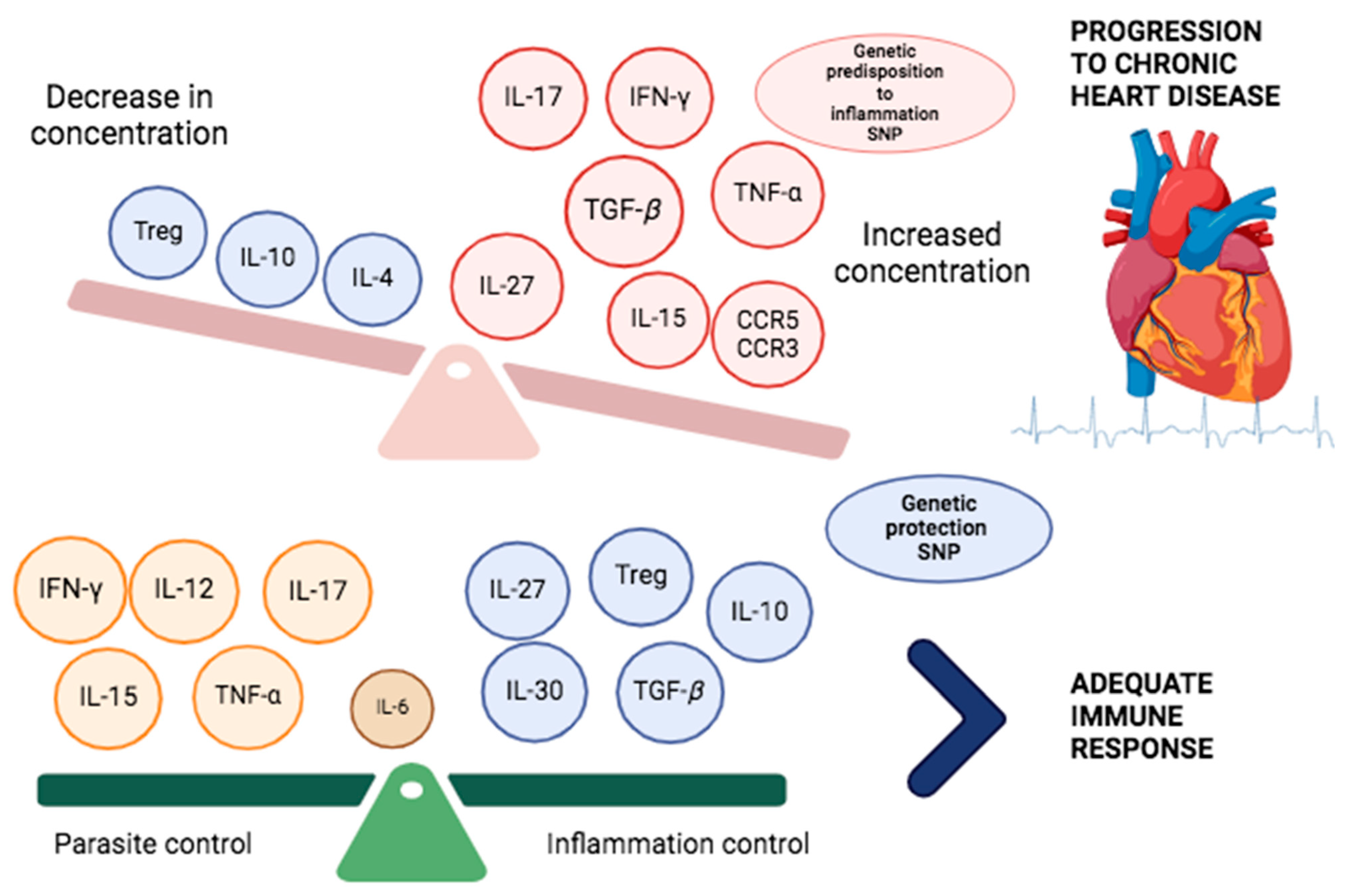 Pathogens 13 00870 g004 Pathogens 13 00870 g004