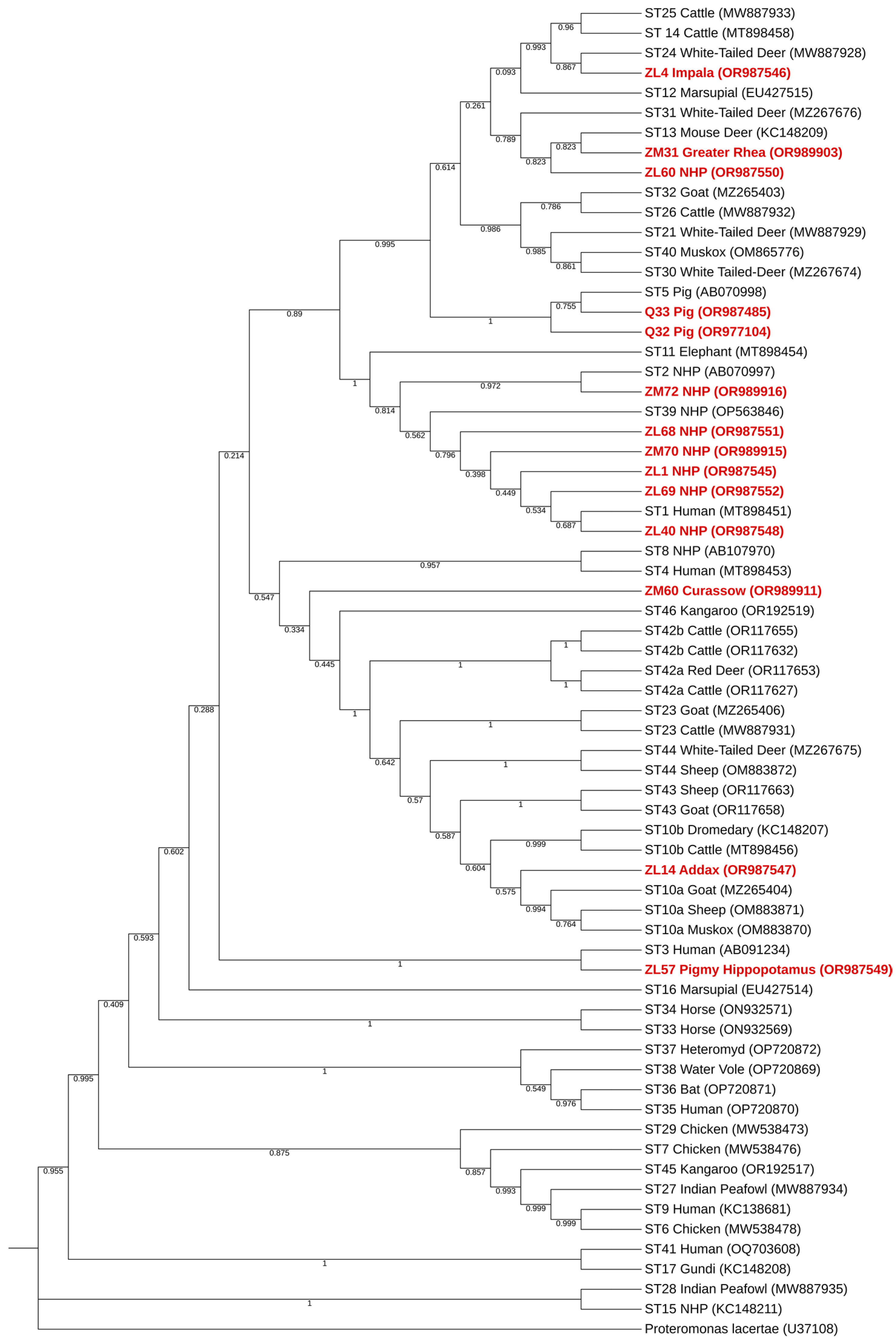 Pathogens 13 00874 g003