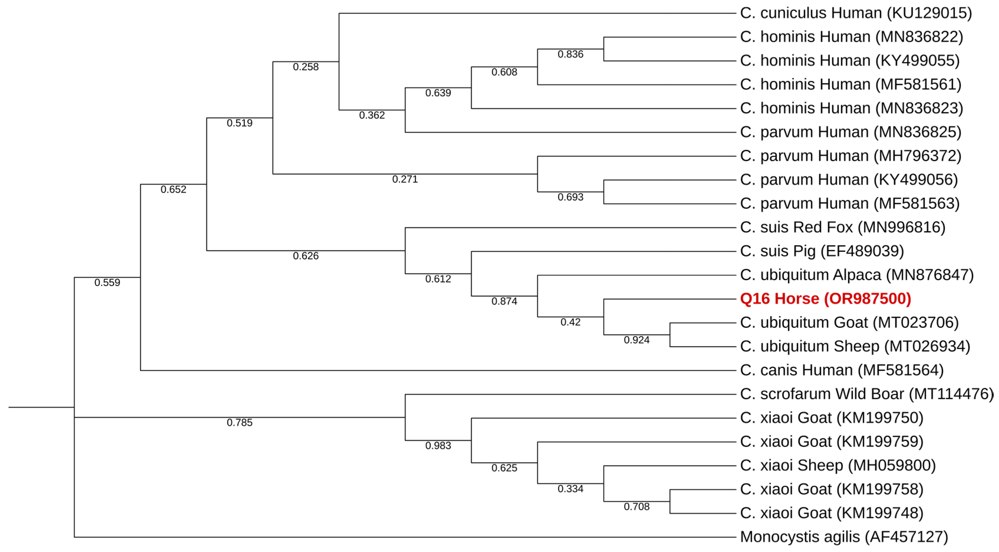 Pathogens 13 00874 g004