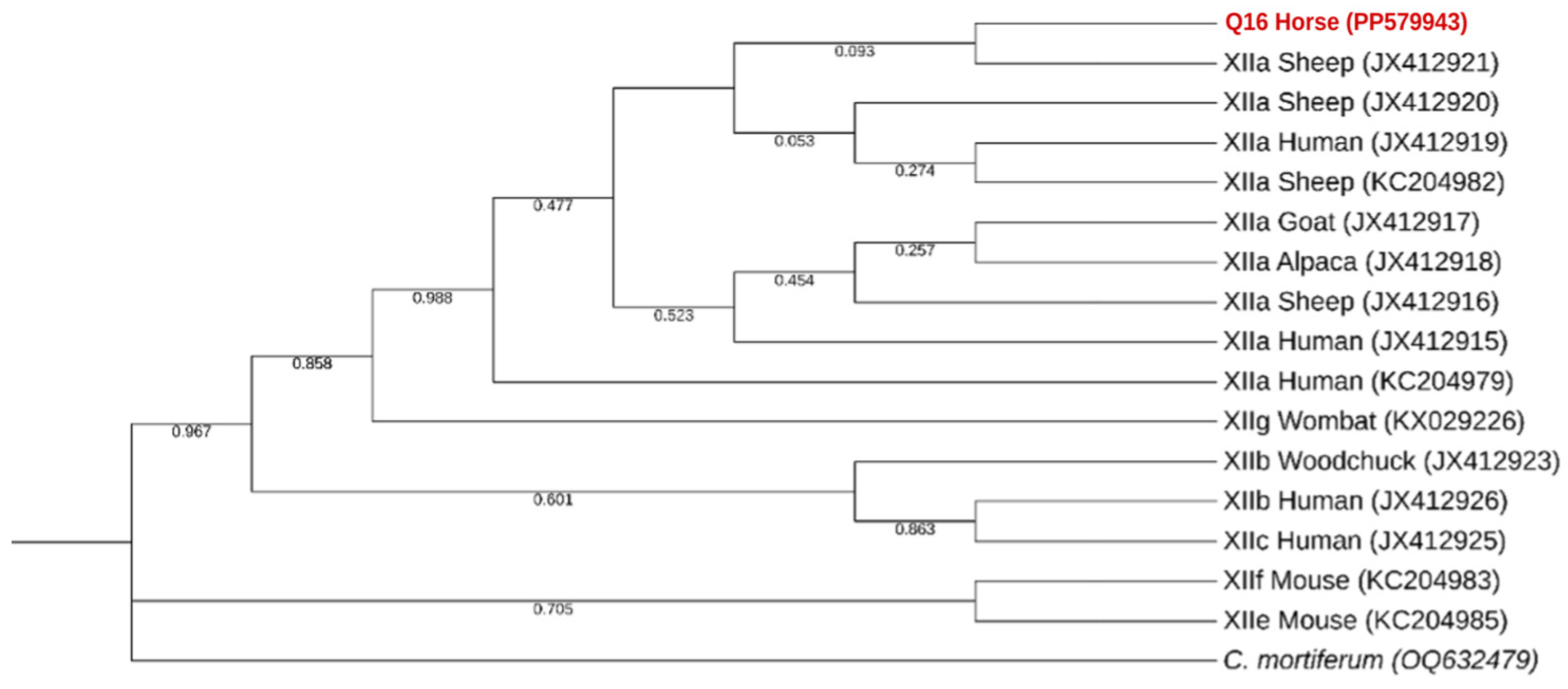 Pathogens 13 00874 g005