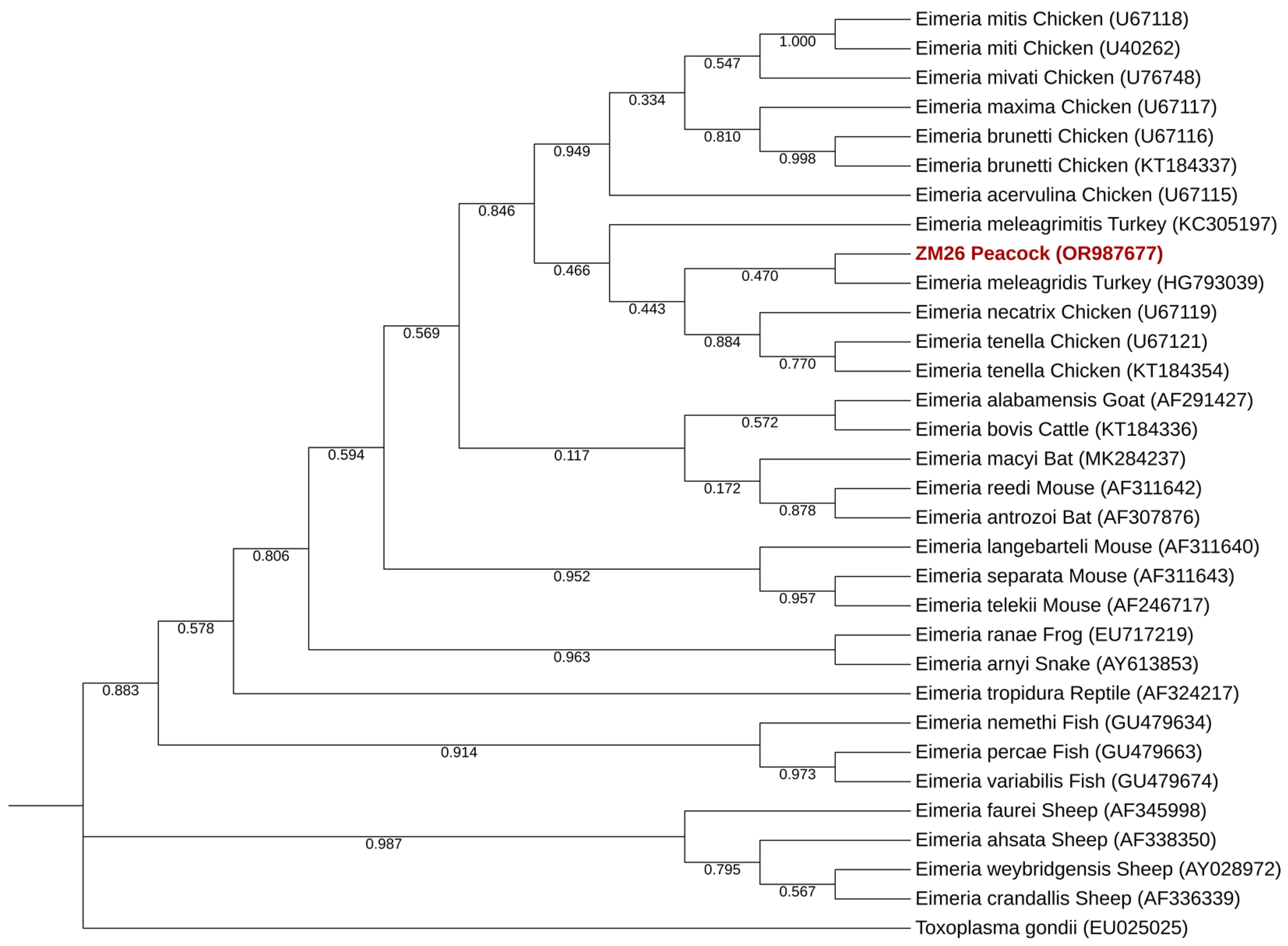 Pathogens 13 00874 g006