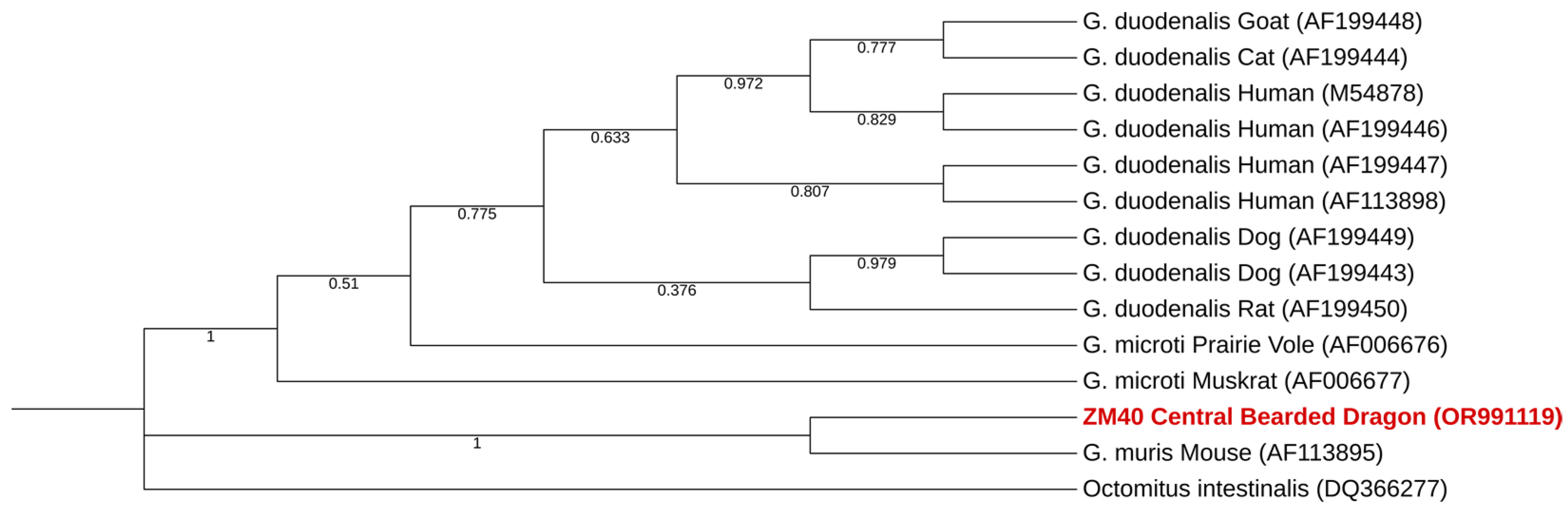Pathogens 13 00874 g007