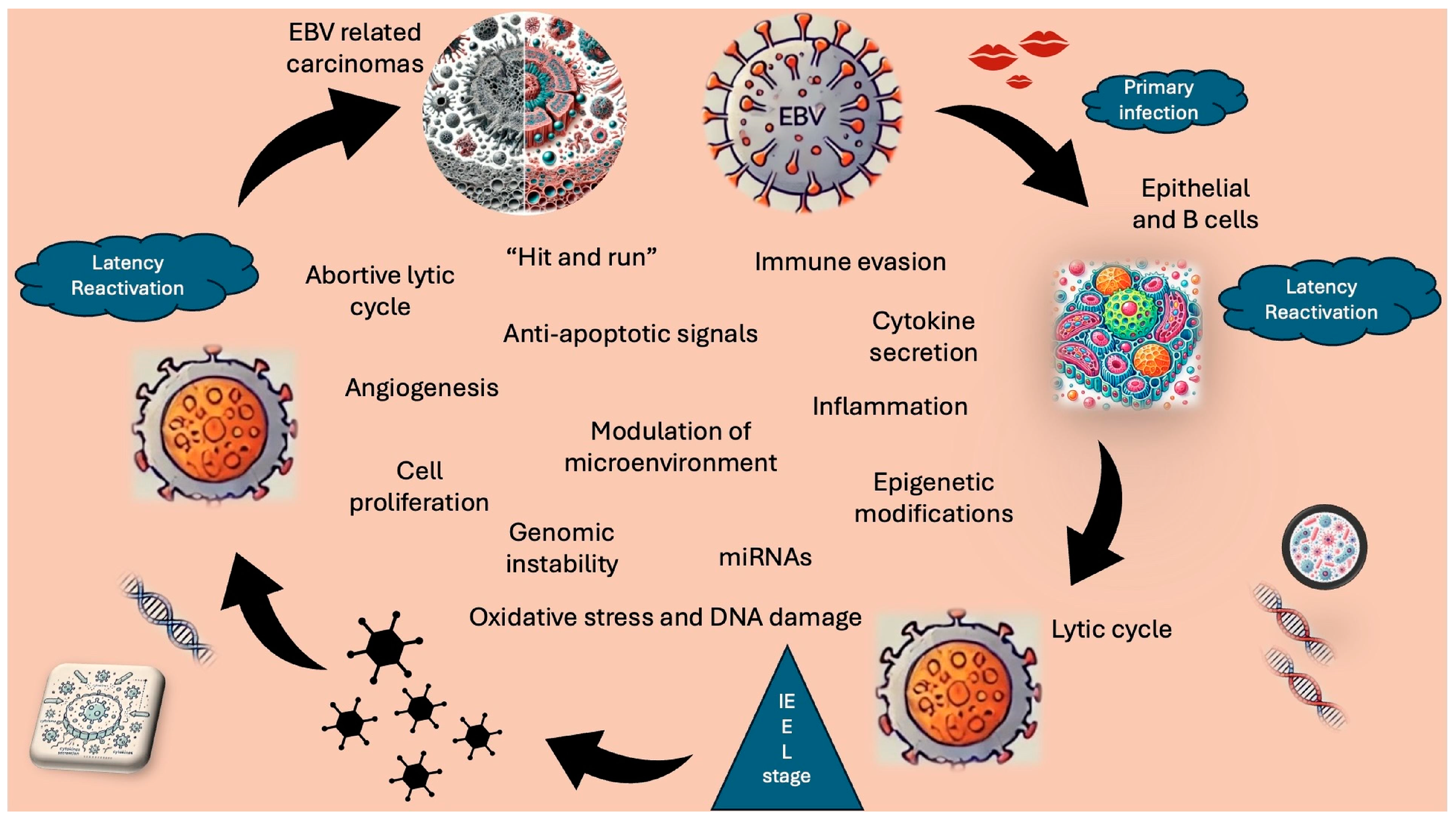 Pathogens 13 00876 g001