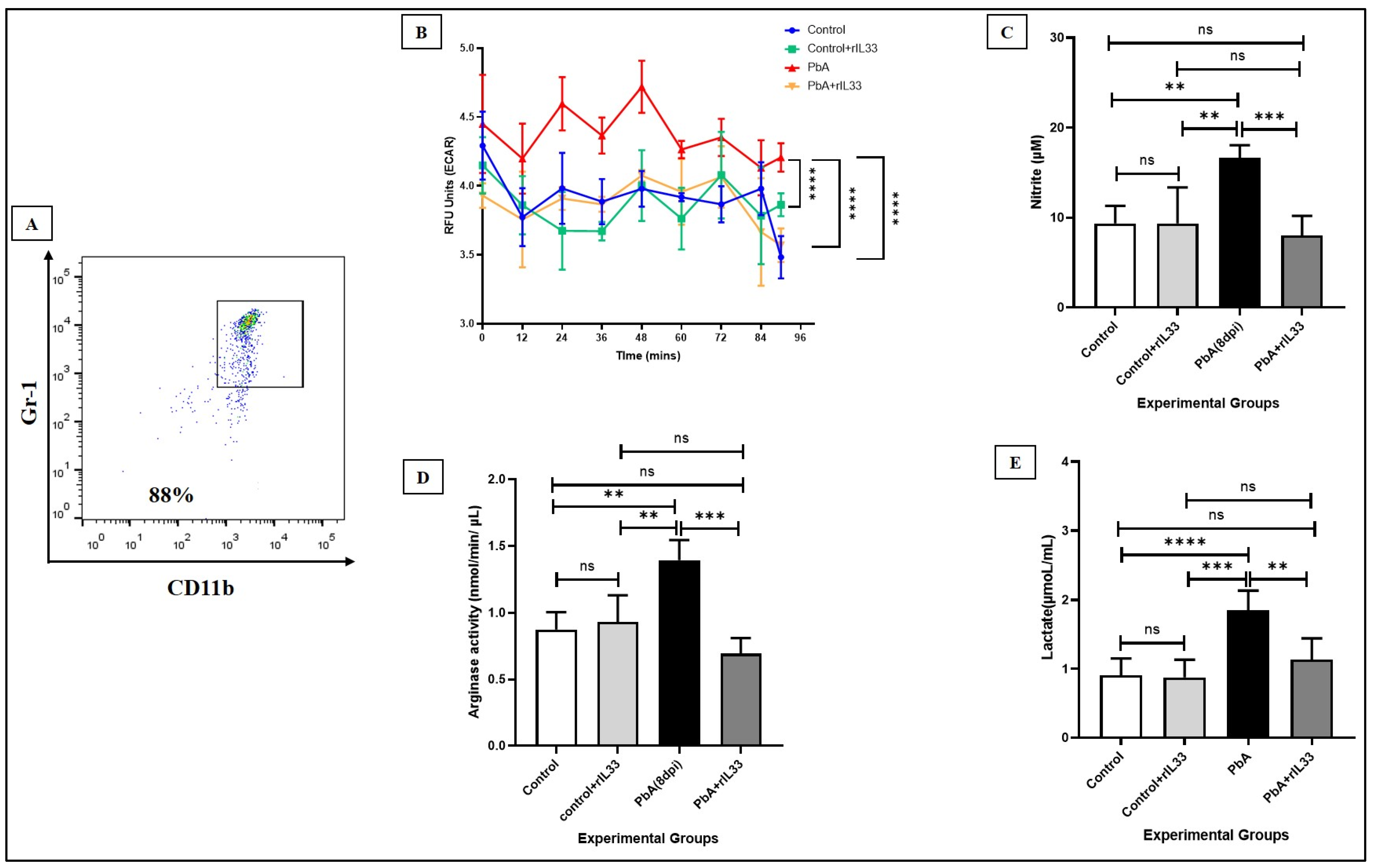 Pathogens 13 00877 g006