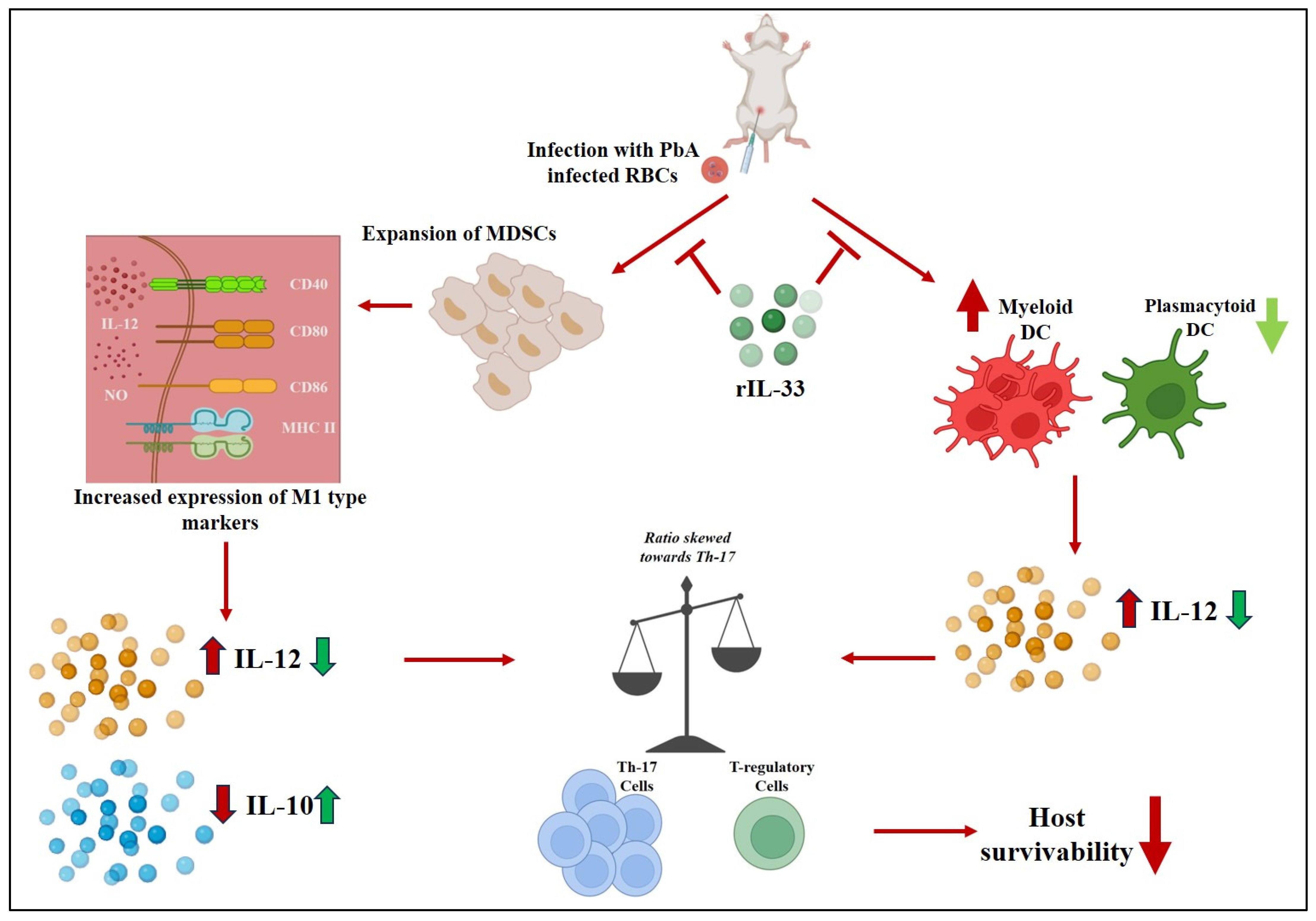 Pathogens 13 00877 g008